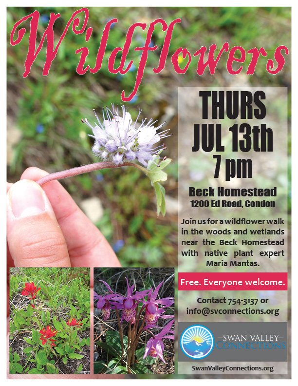 Wildflowers-POSTER-17jun1Draft.jpg