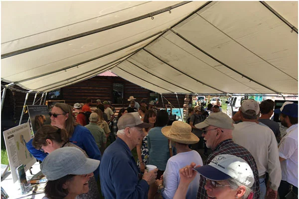 Participants visiting with various vendors at the Bear Fair