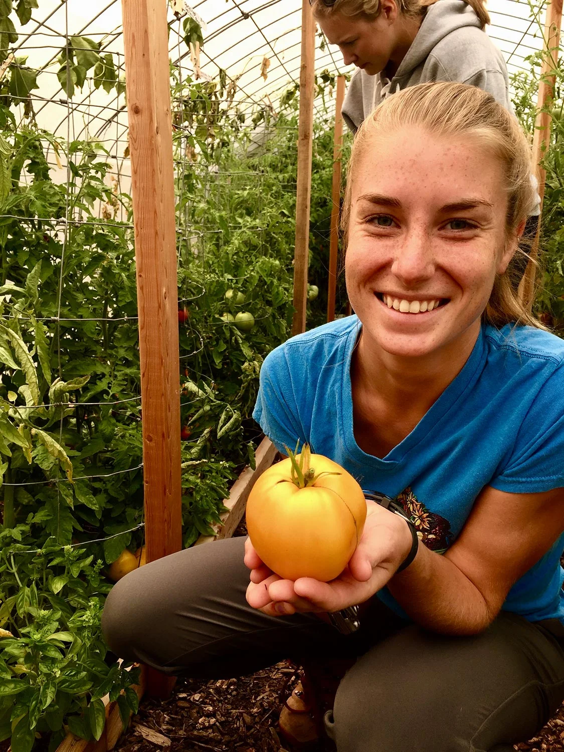 bryn-picking-tomatoes-for-salsa.jpg