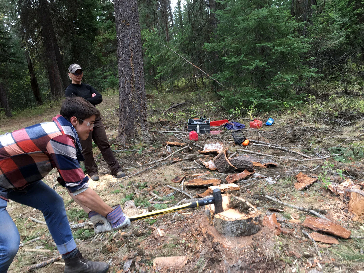 Sam splitting firewood