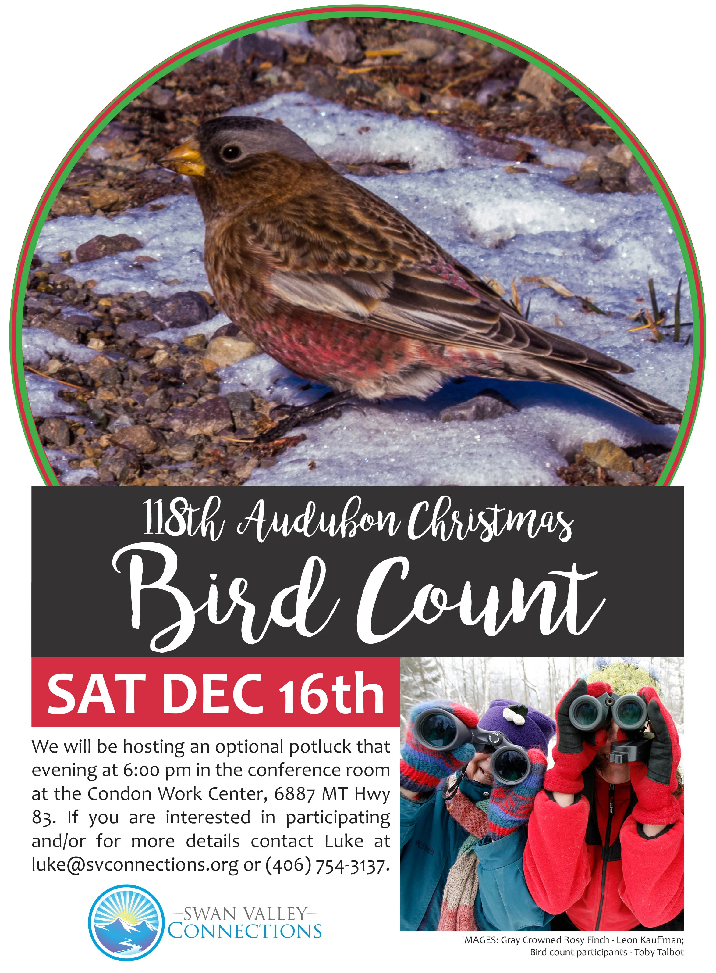 Xmas-Bird-Count-2017.jpg