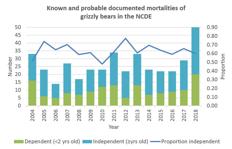 This graph shows the 14 year trends in the NCDE mortalities, or bears that were removed from the ecosystem by death or relocation. “Probable” mortalities include bears presumed to be fatally hit by automobiles, but whose bodies could not be found. 2018 was a record year of mortalities for both independent and dependent grizzlies. Credit: Montana Fish, Wildlife, and Parks