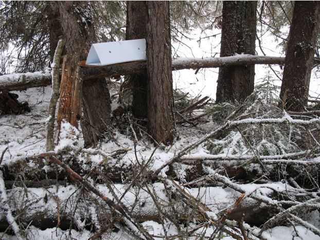 Fisher box bait station used in 2012.