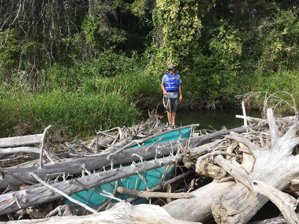 Large woody debris diversifies and complicates the river’s flow, and it provides an important refuge for native fish and wildlife. But it’s not every day you find an entire canoe buried in a log jam. This fiberglass shipwreck was too much to be salvaged without chainsaws. Despite its burial, this vessel looked pretty intact, and now we know where to go when we’re ready for a good excavation.