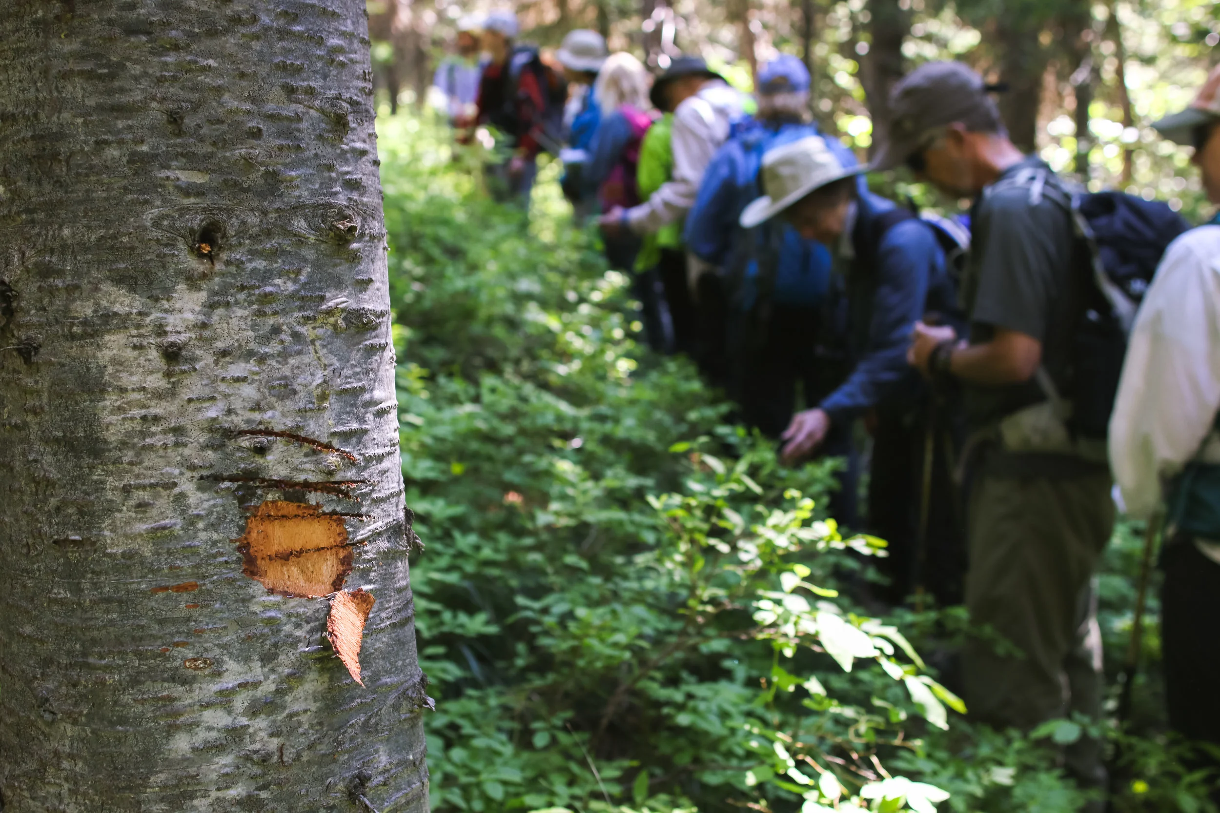 Support Experiential Education