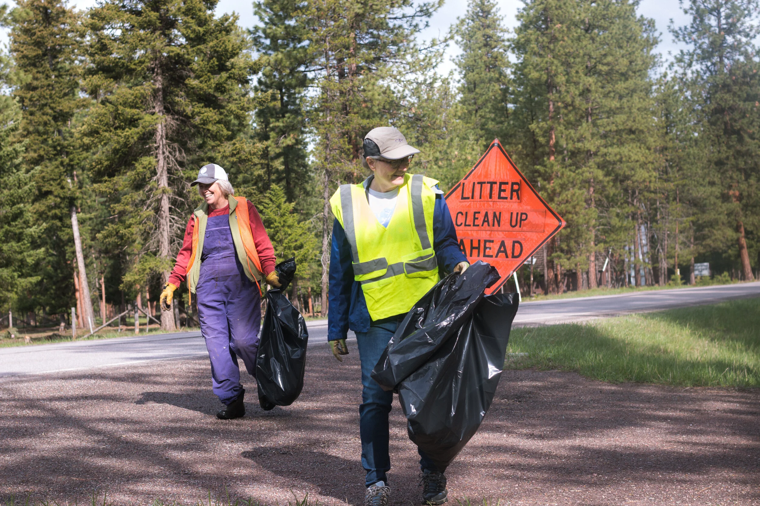 Volunteer — Swan Valley Connections