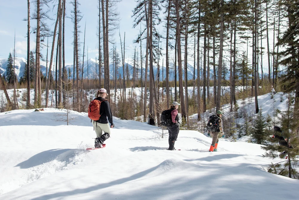 Swan Valley Connections