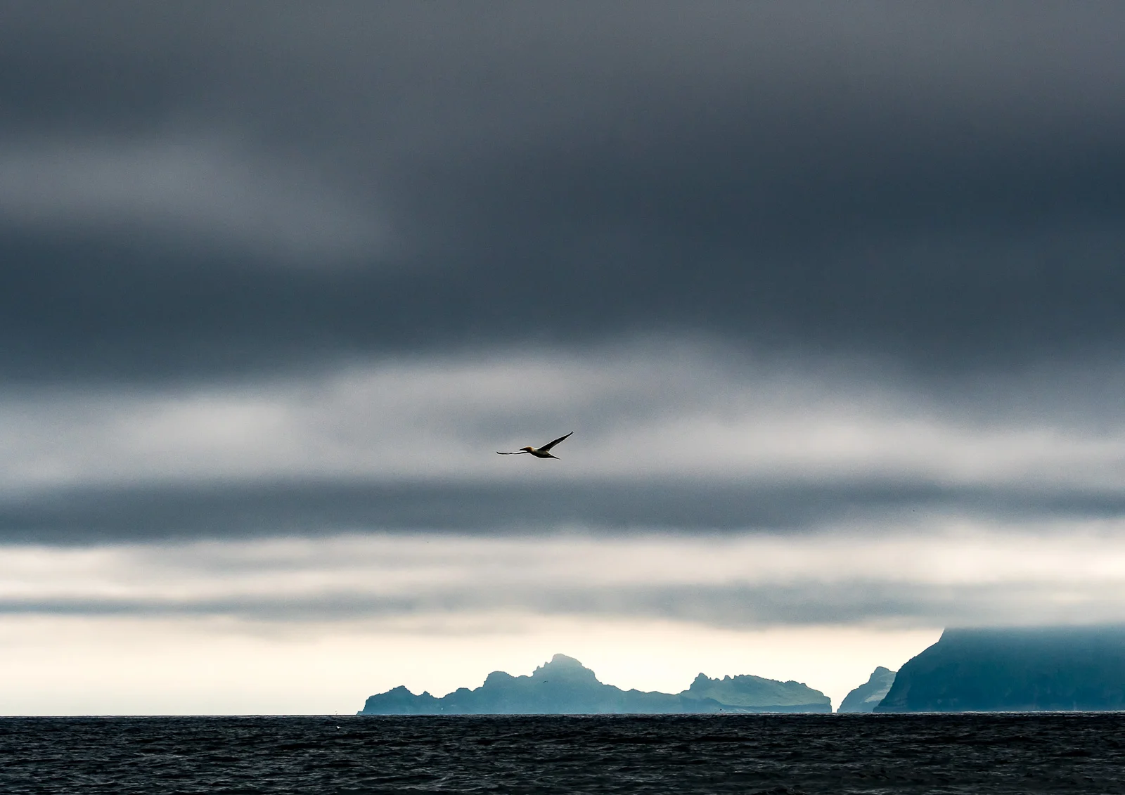 Leaving St Kilda. Nikon D500 70-200mm f2.8 at 70mm. 1/2500sec f9 ISO 560