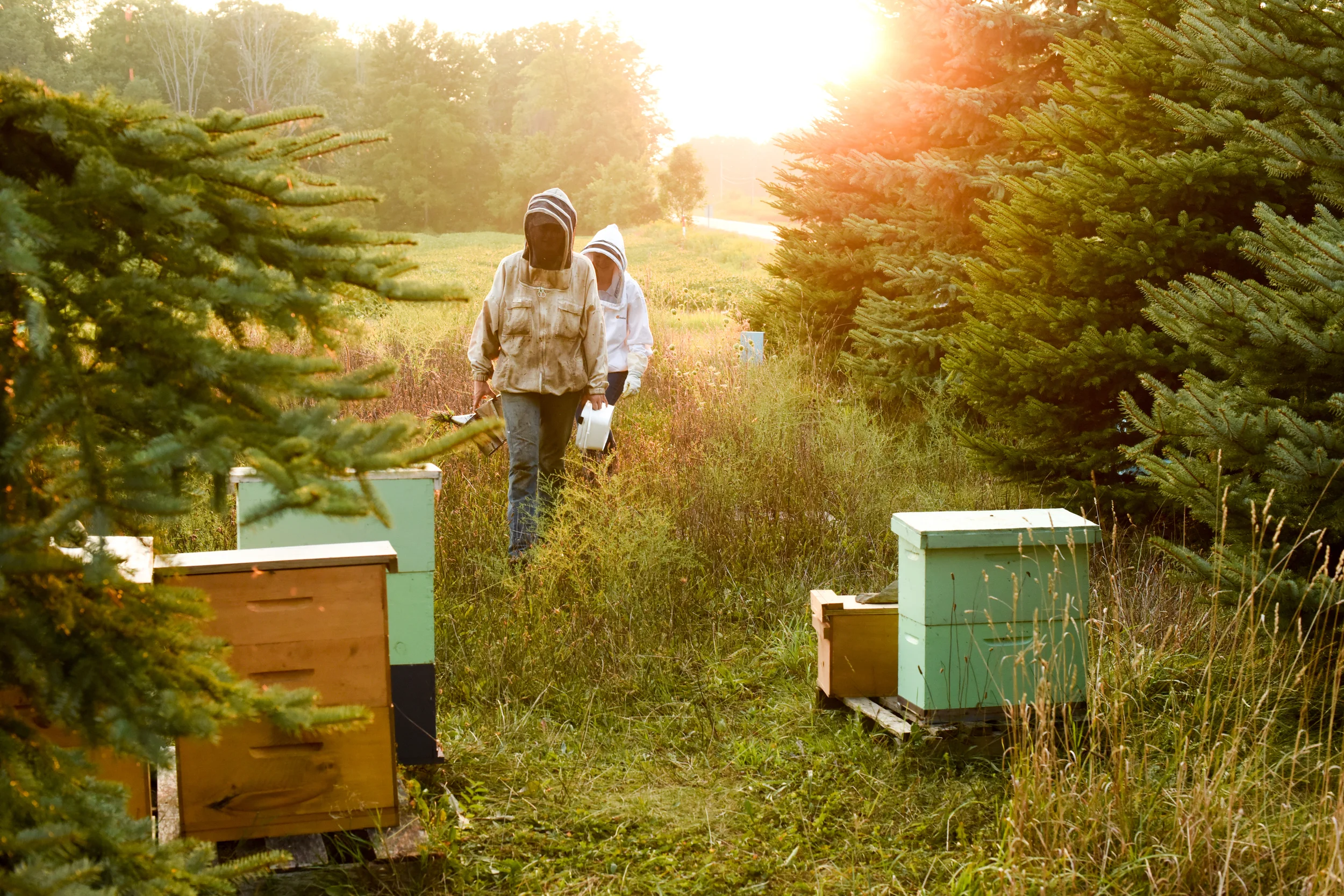  Photo credit: Andrew Potter -http://andrewpotterphoto.zenfolio.com/ 