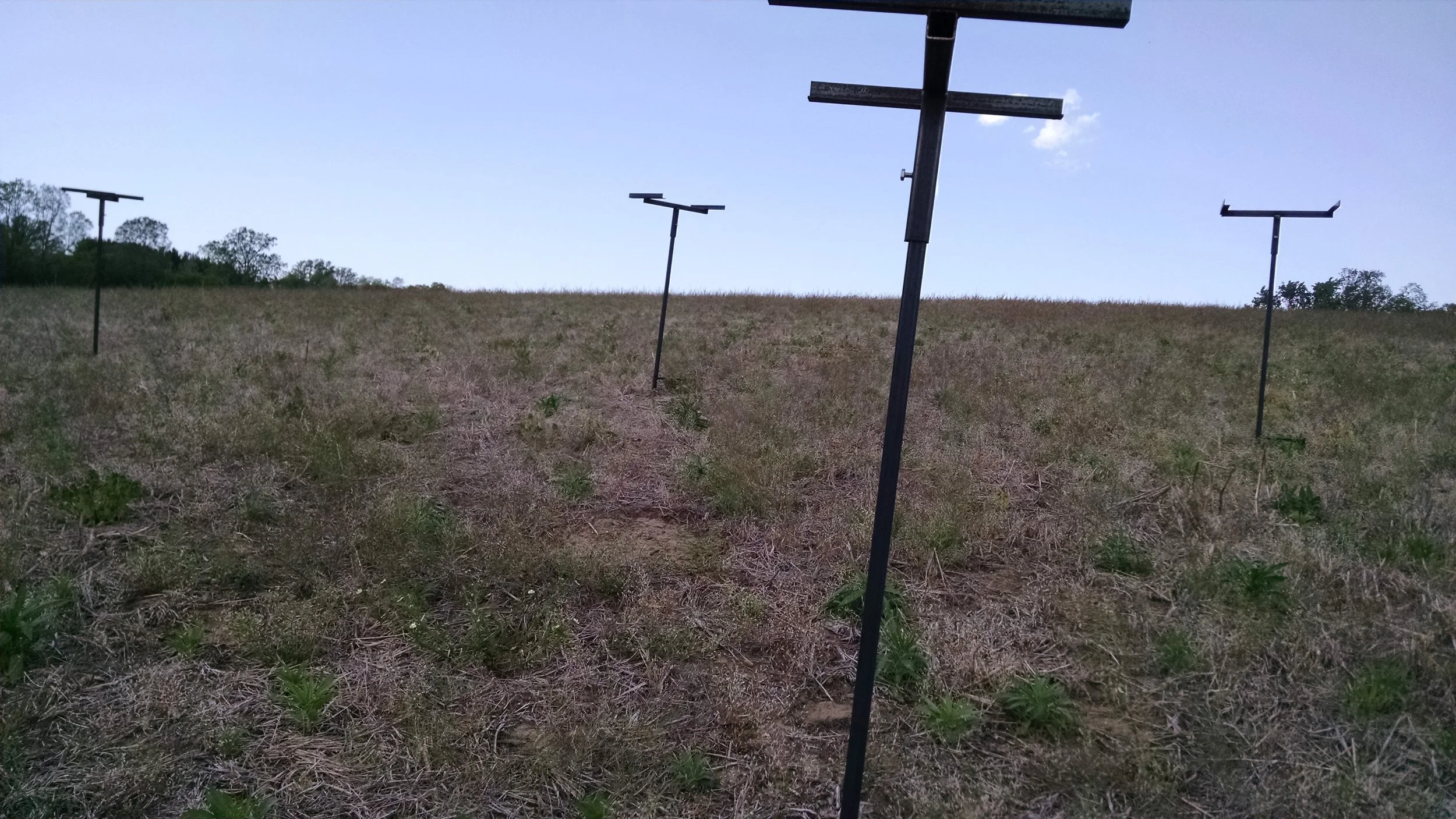 The stands - awaiting their nucs.