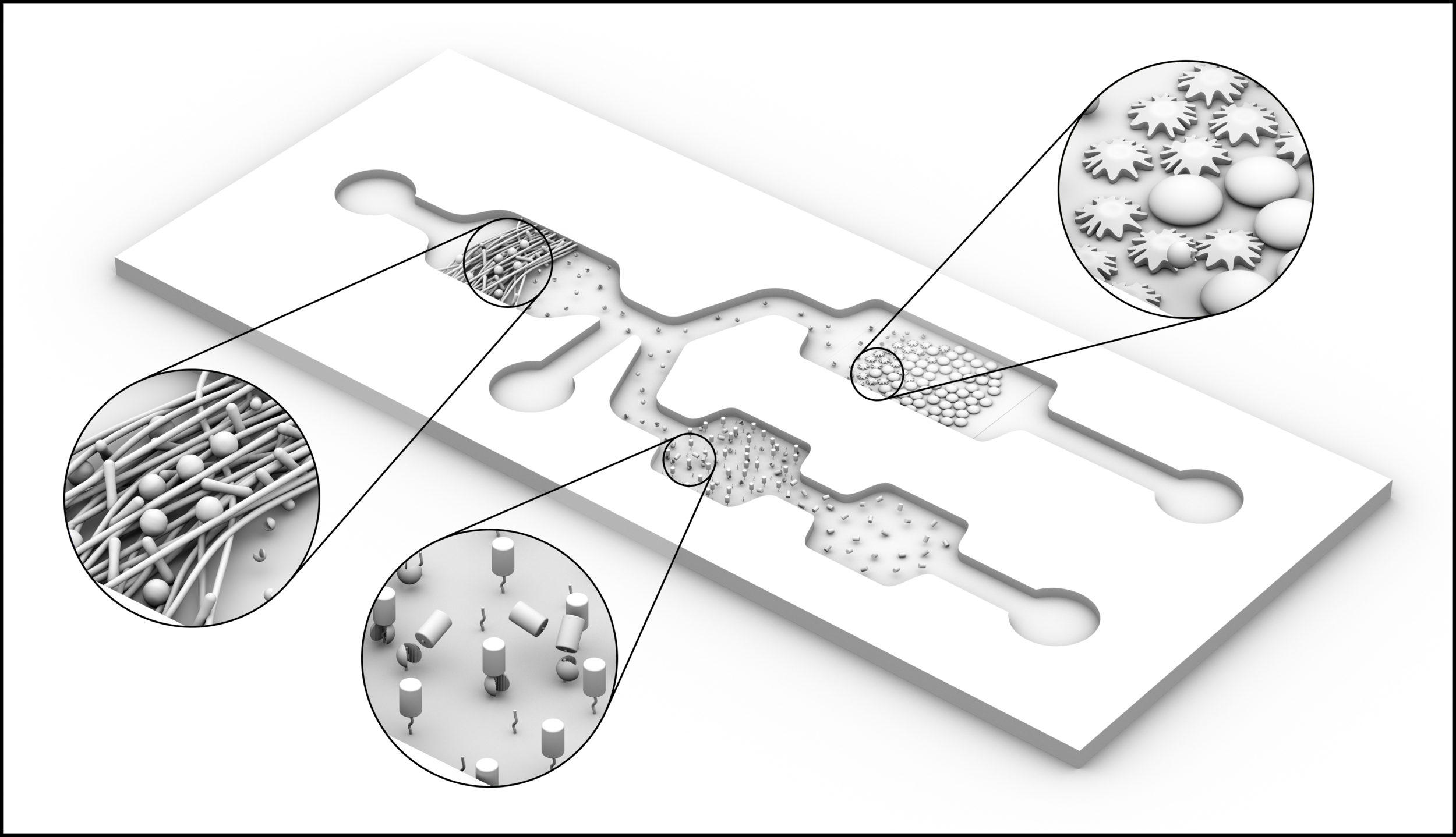 Extra_PathogenDetection_ShadowsOnly.png