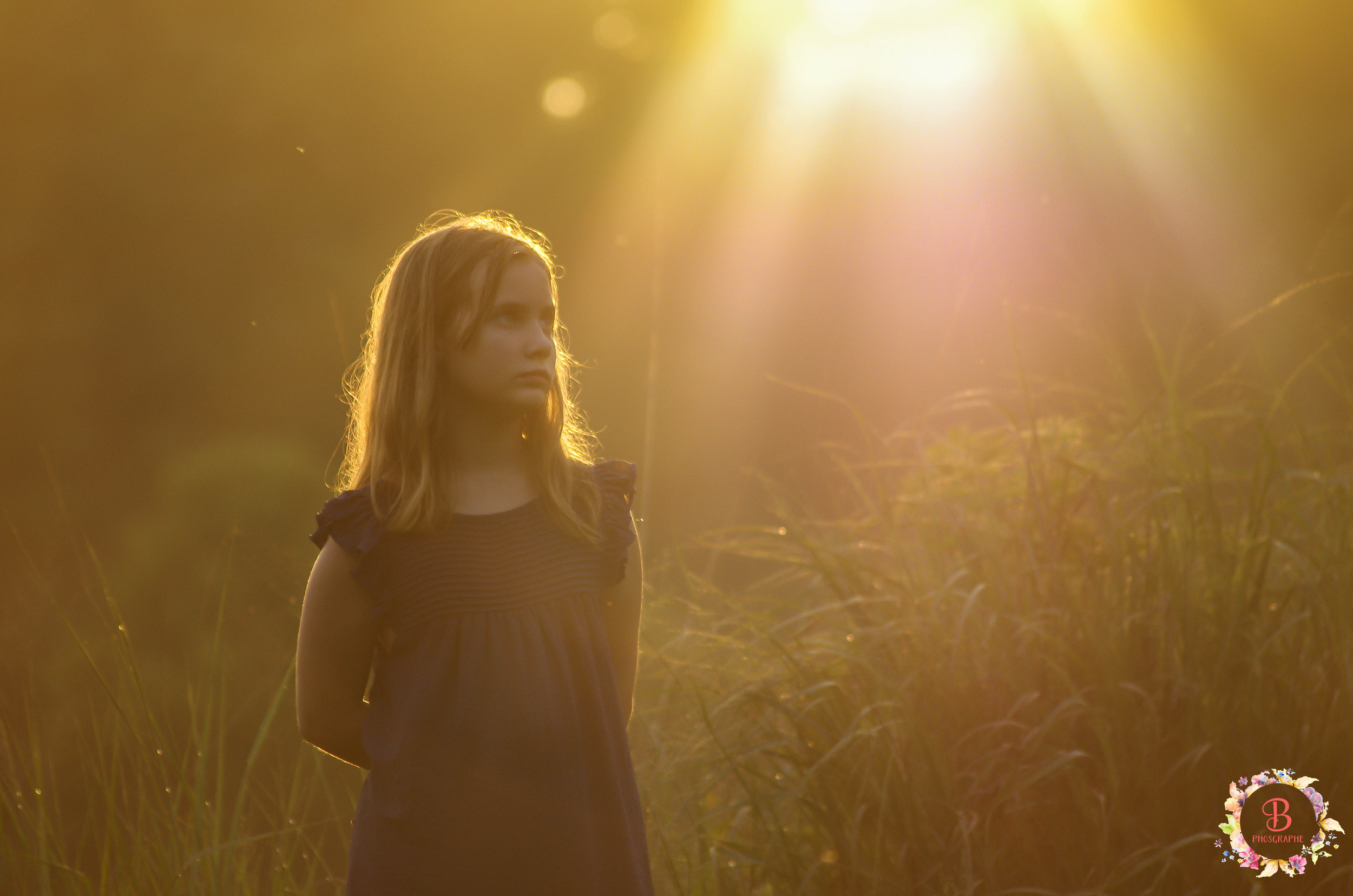 Soaking up the light ...