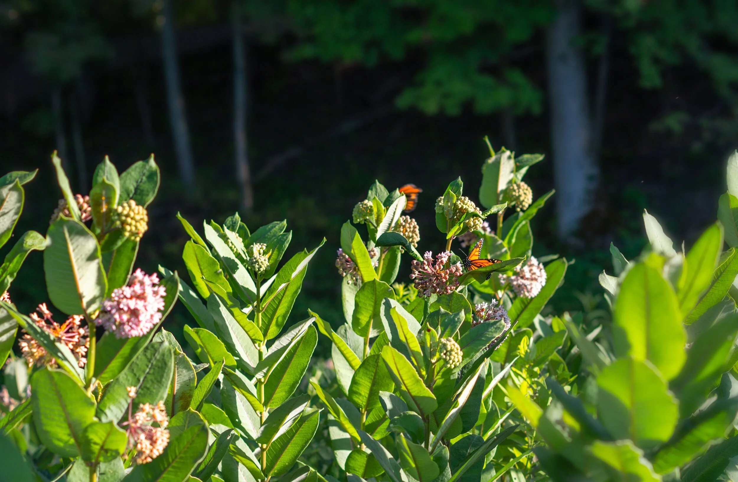 Kenna, Class of 2021 ...