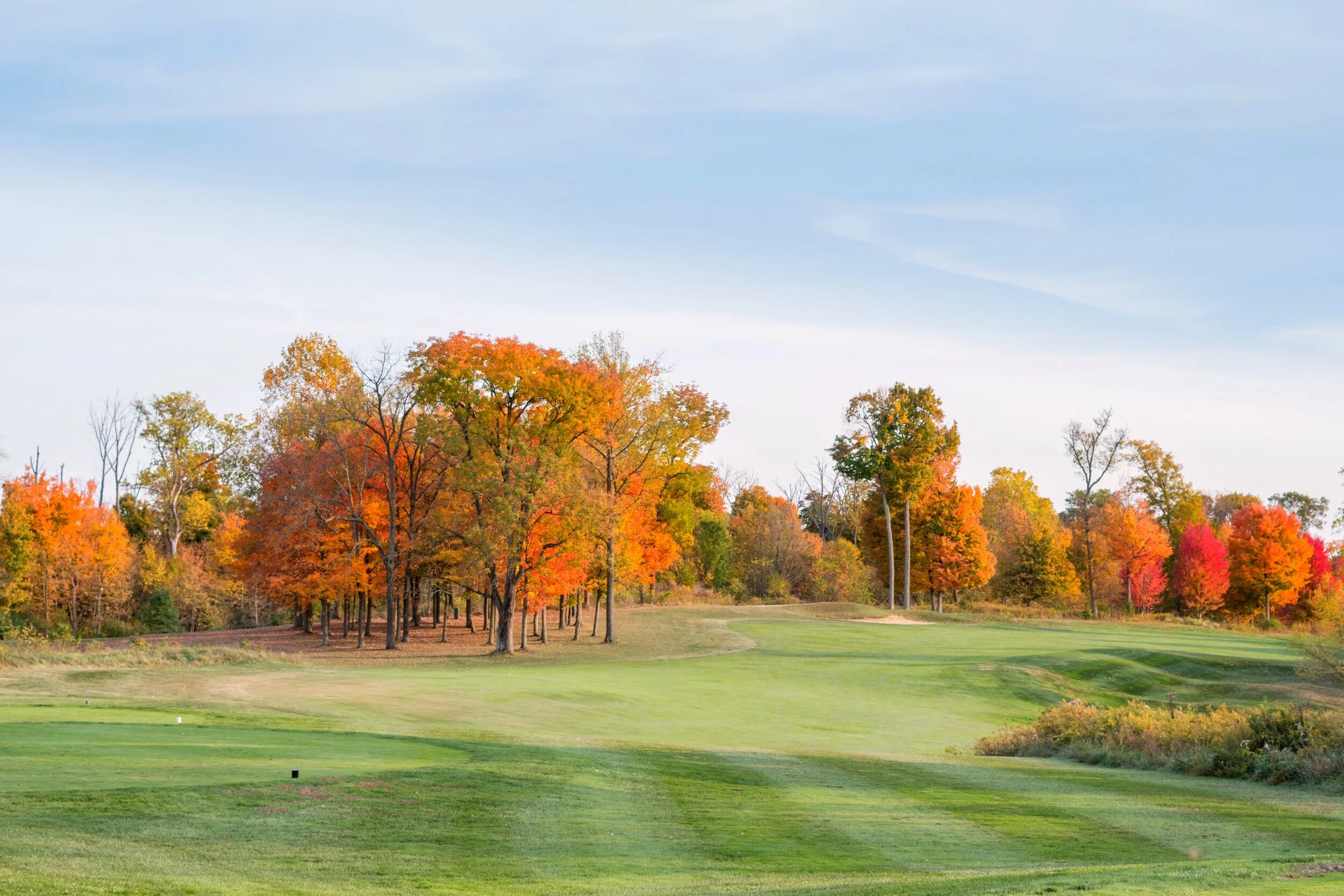 Lucas, Class of 2021 ...