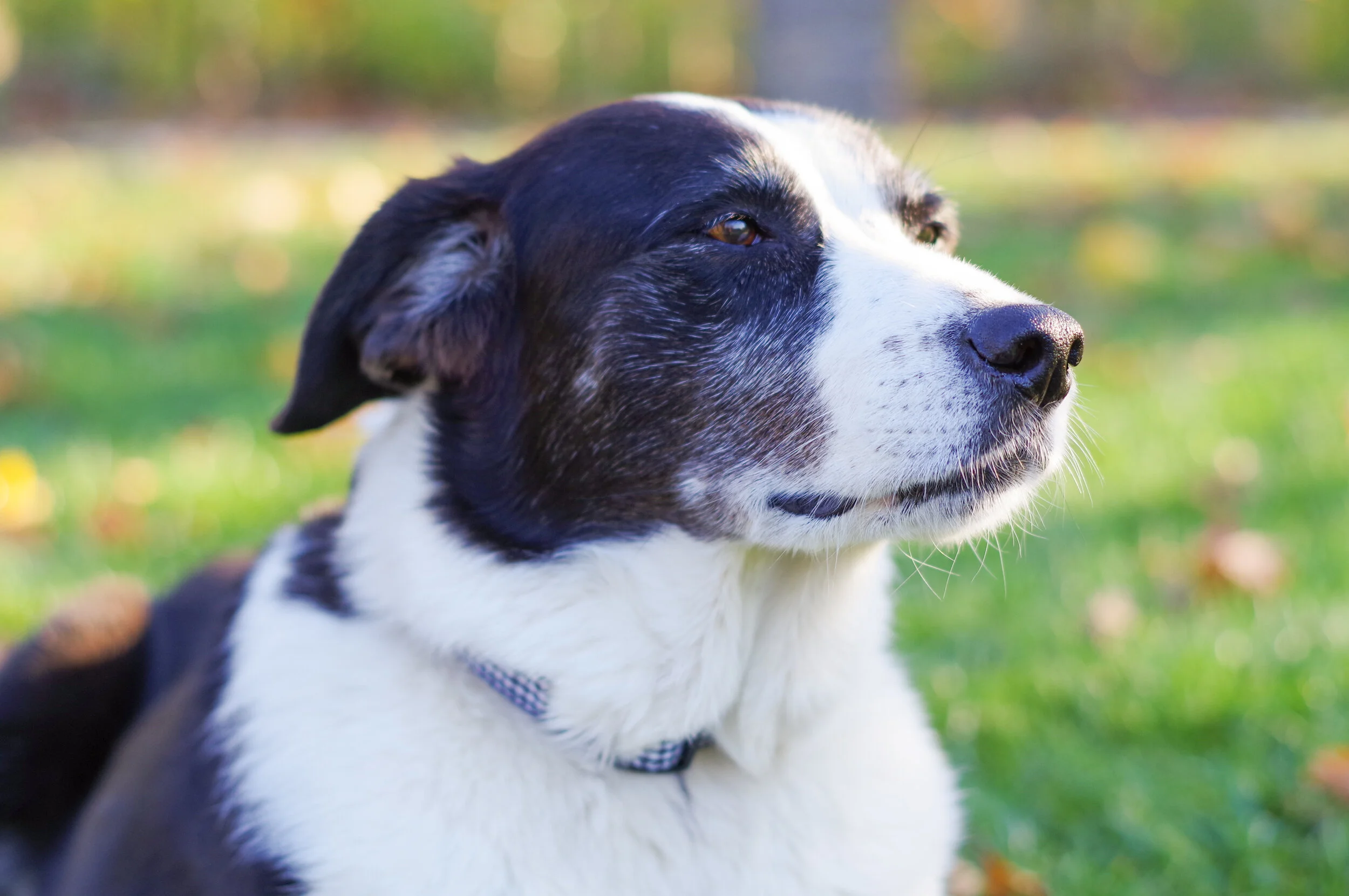 The Ratliff family ...