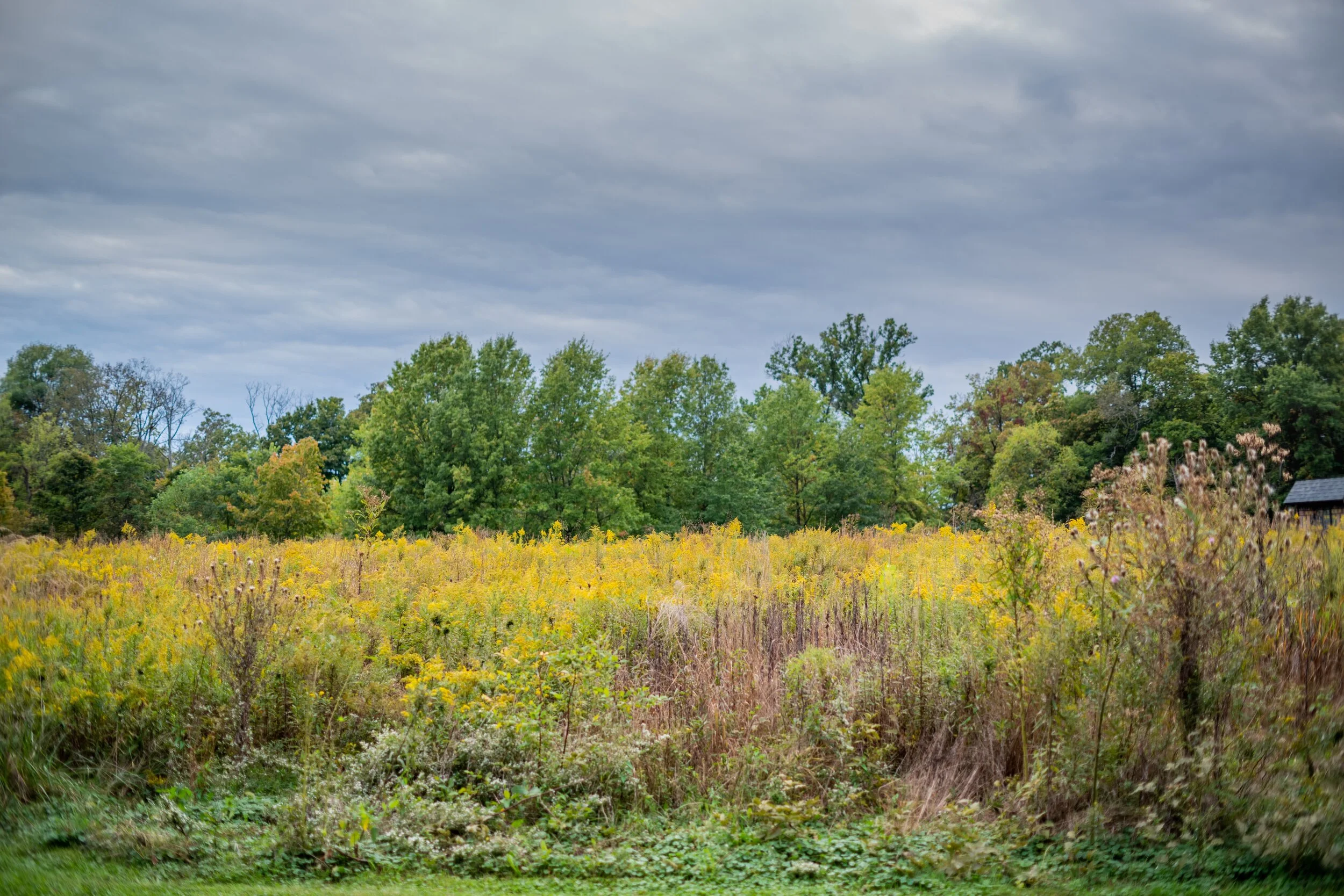 Alexus, Class of 2022 …