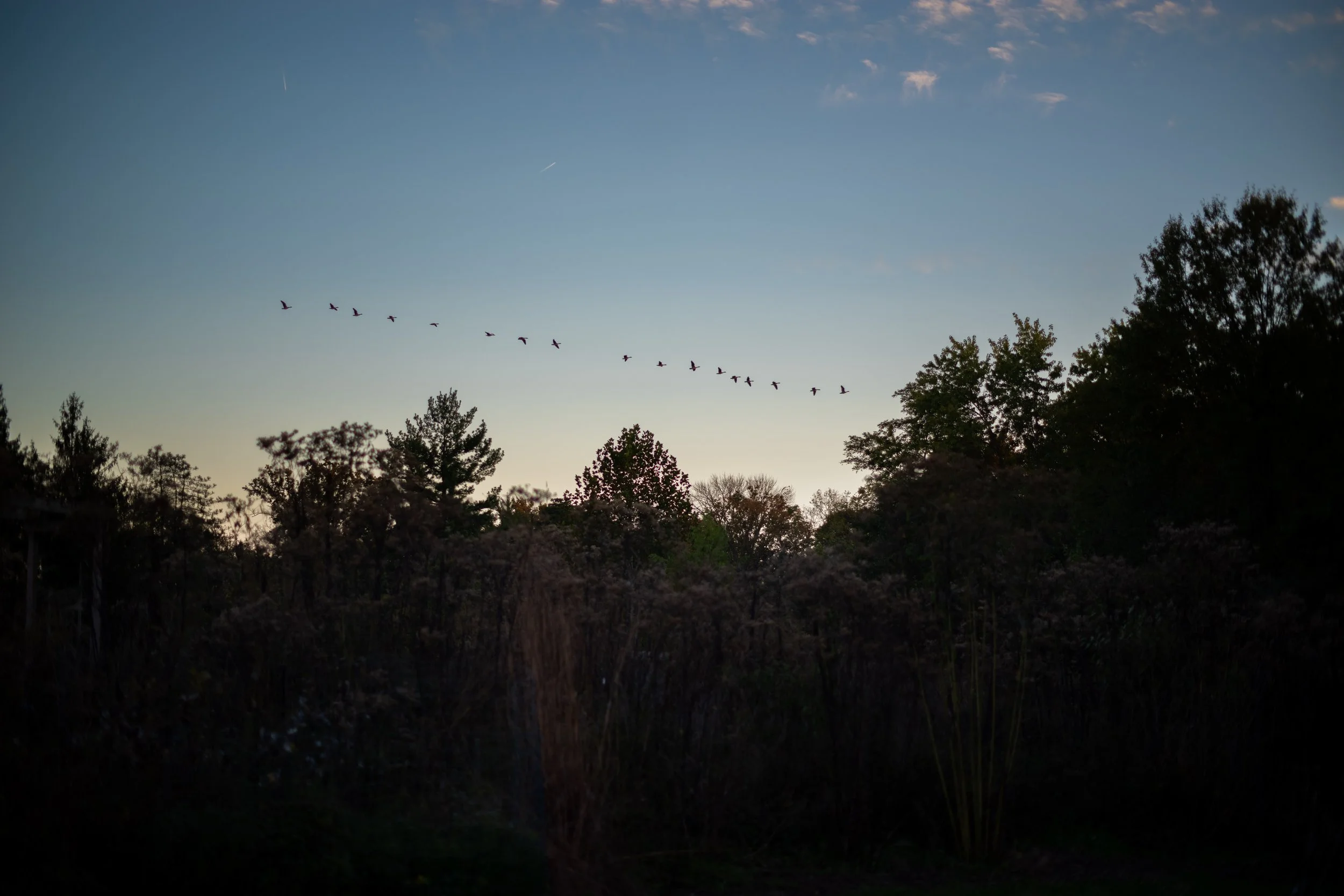 Maggie, Class of 2022 …