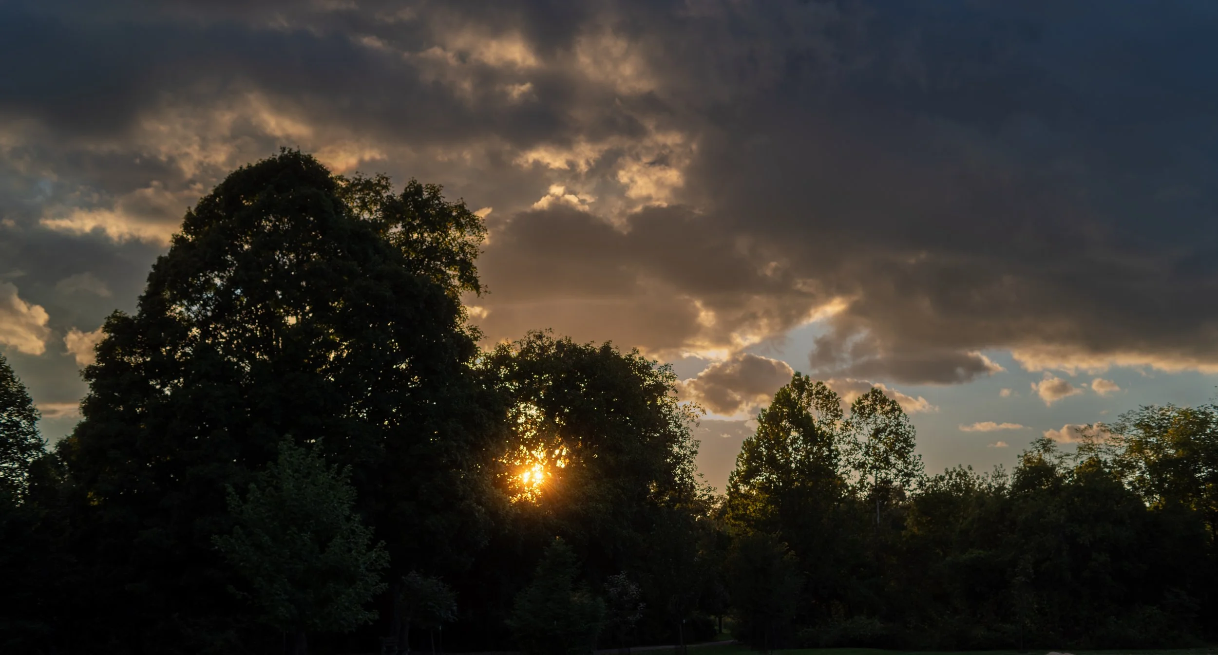 Ellie, Class of 2023 …