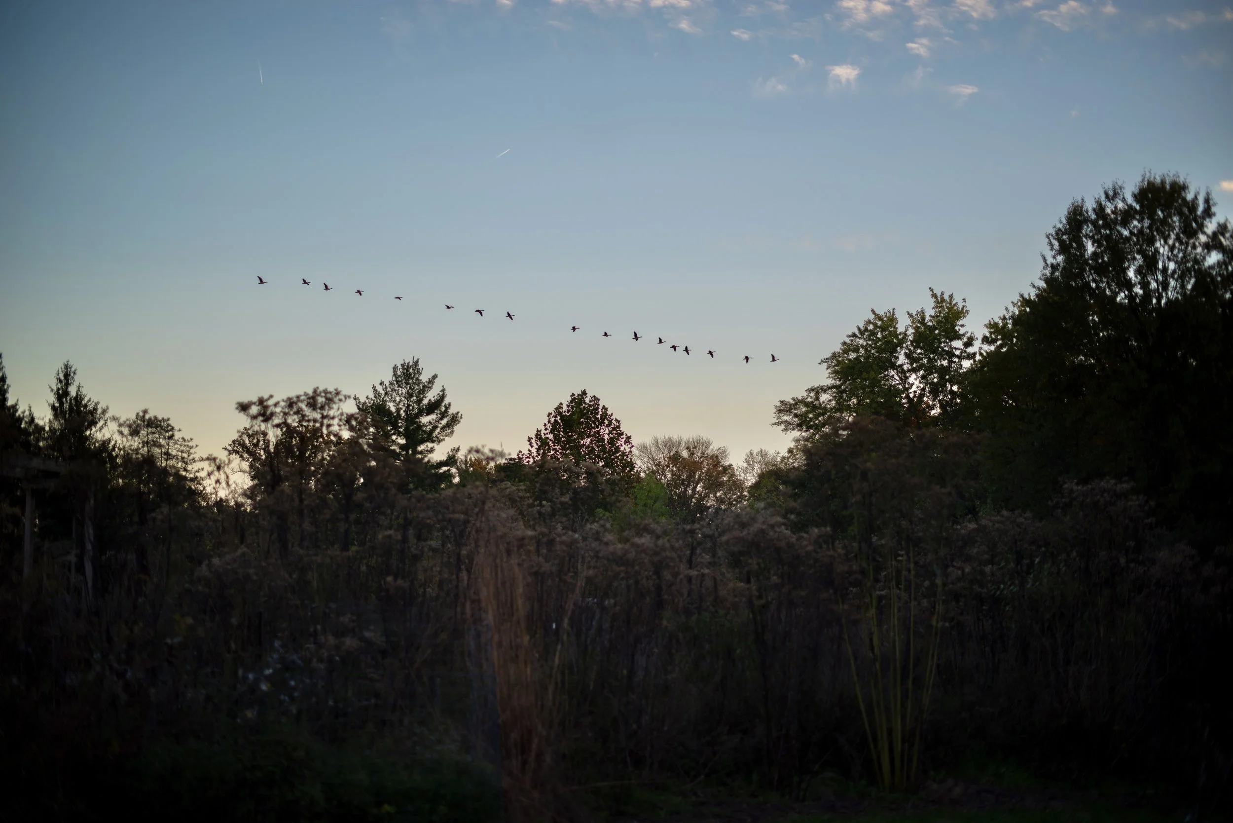 Sarah &amp; Charlie, Class of 2024 …