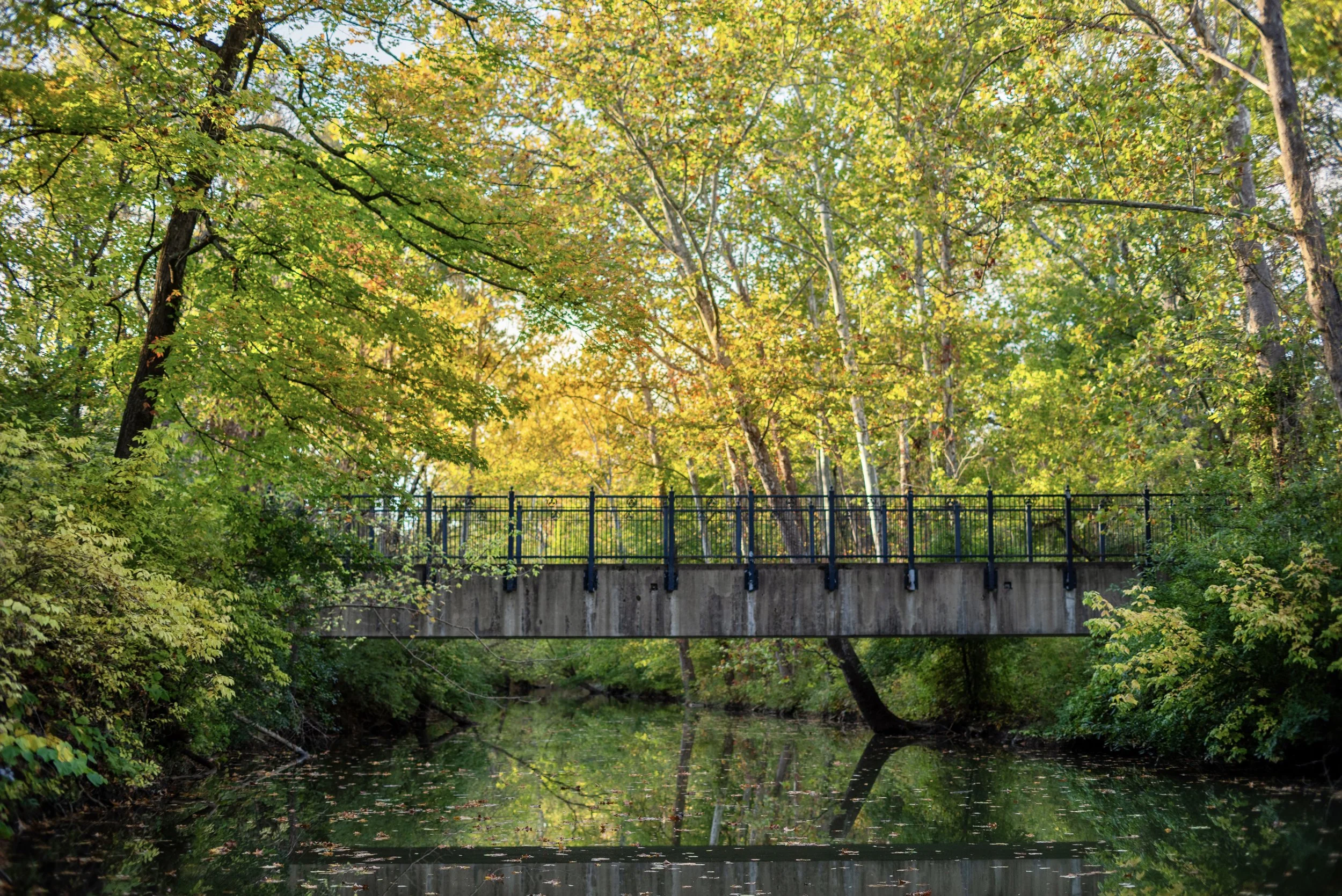 Anna, Class of 2024 …