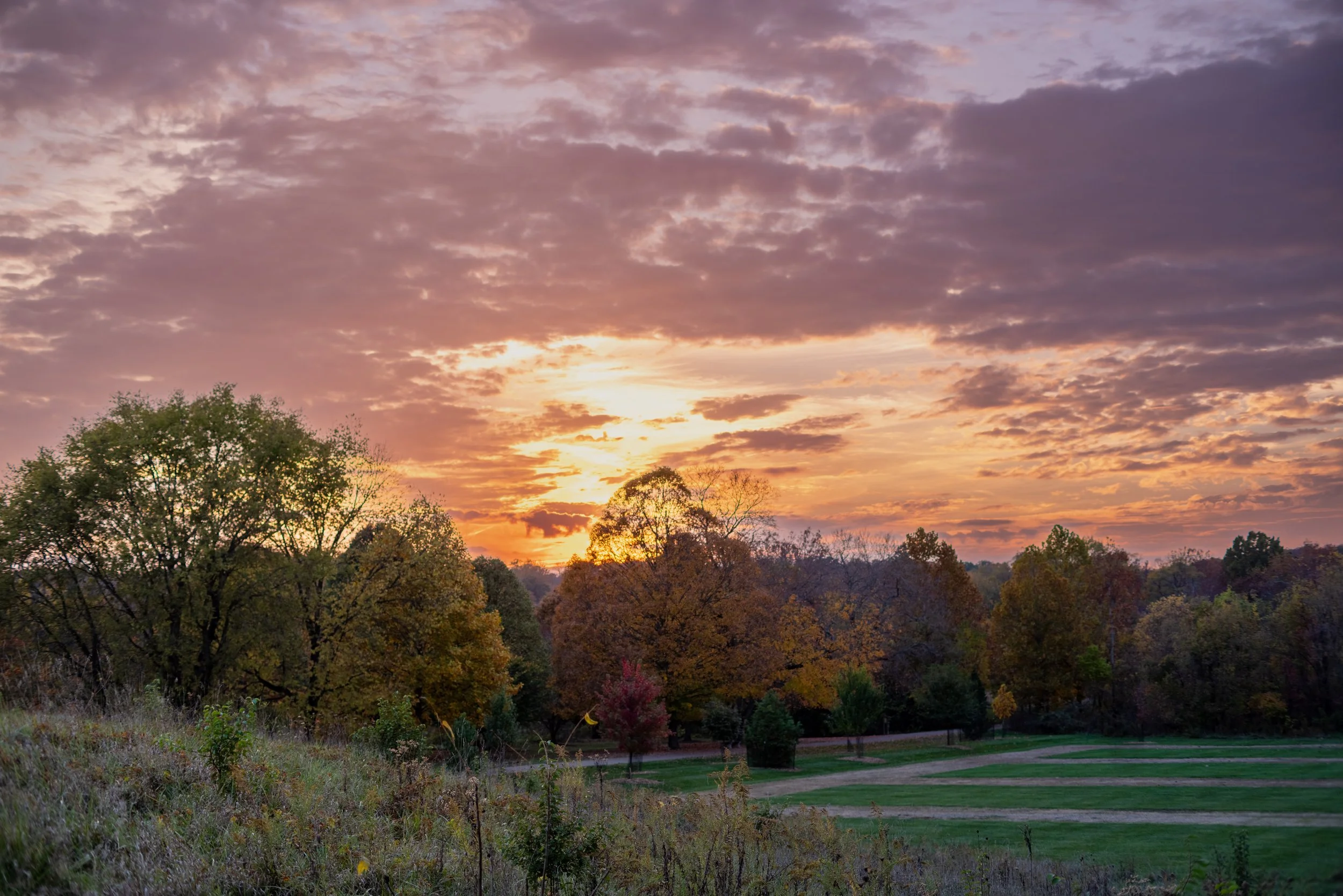 Alyssa, Class of 2024 …