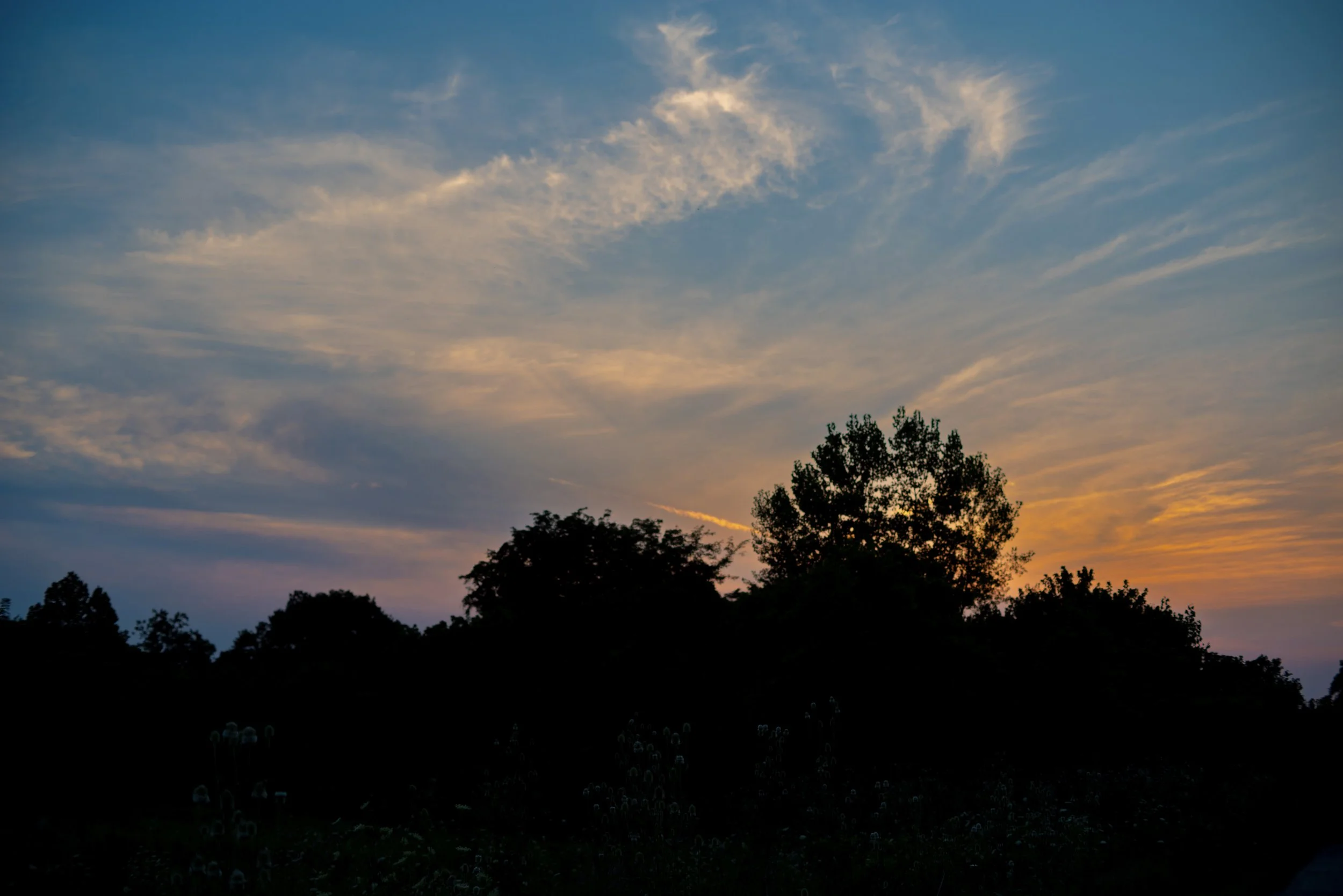 Kaitlyn, Class of 2025 … 