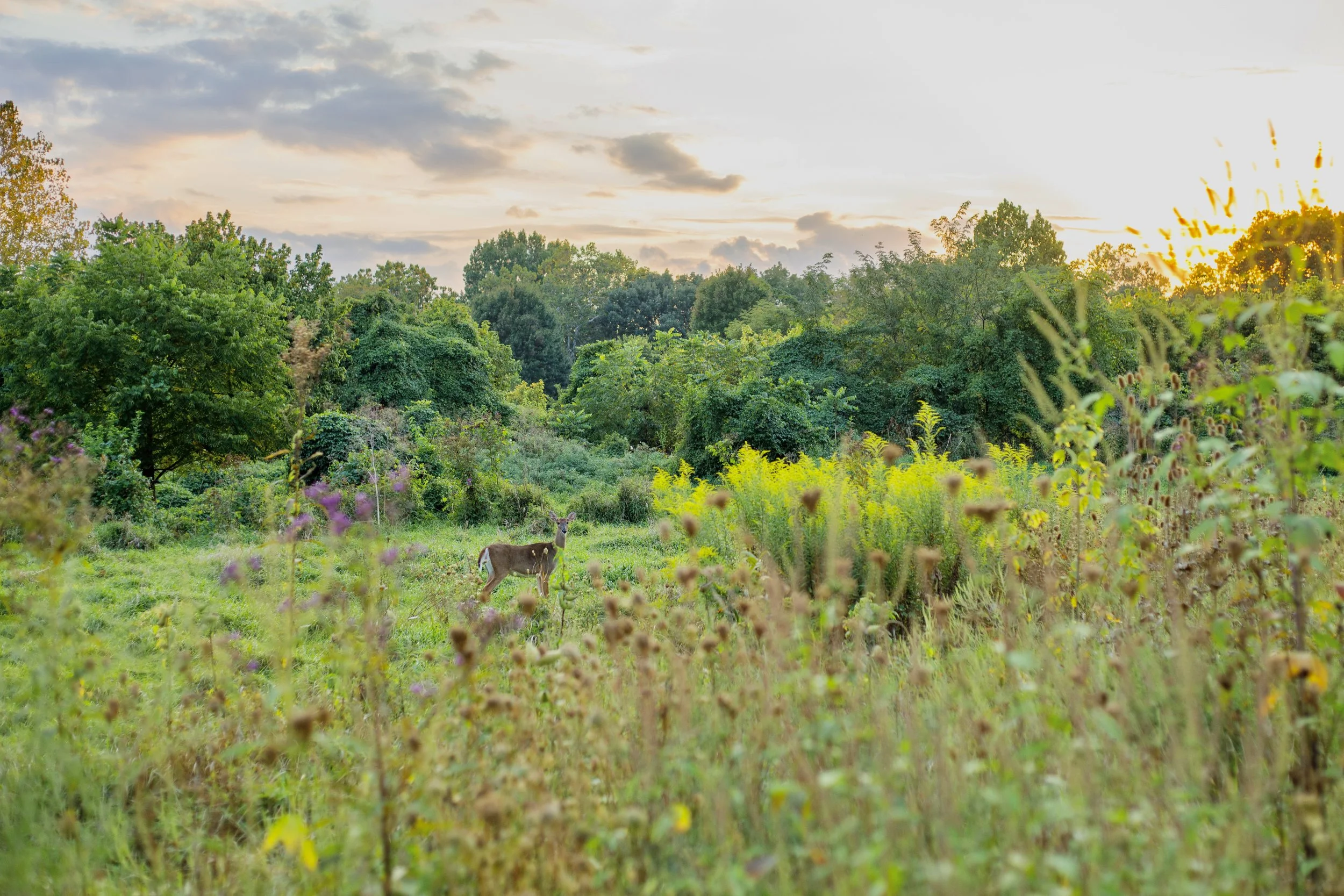 Madelyn, Class of 2026 …