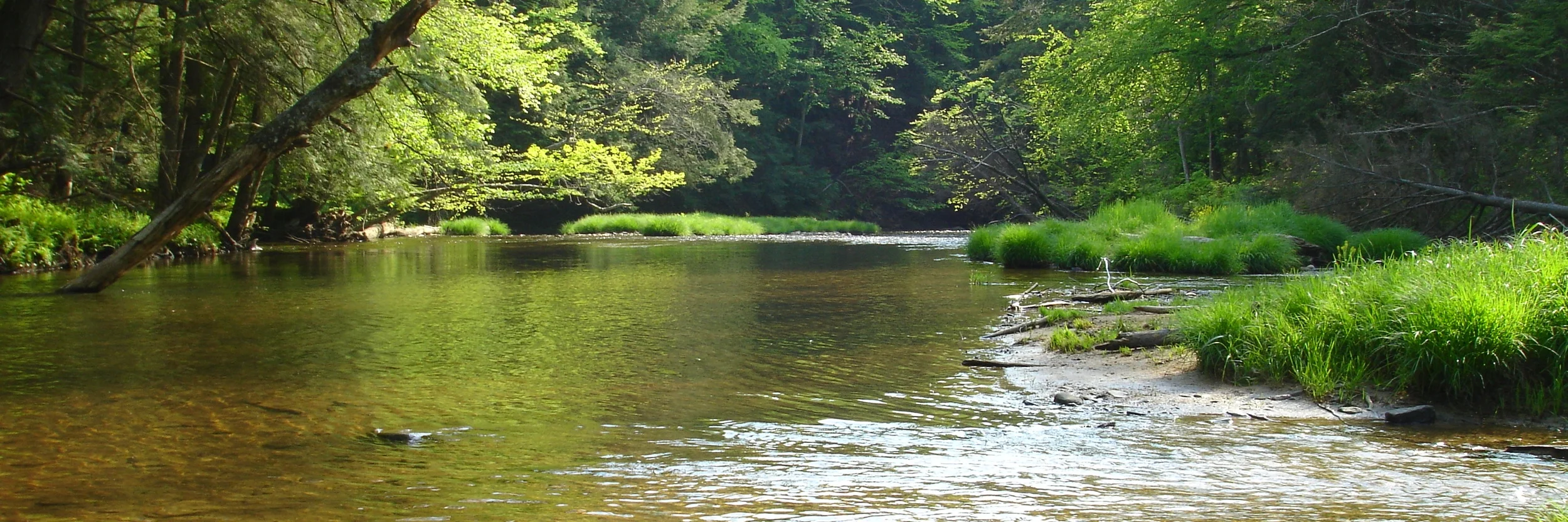 Kinzua_Creek.JPG