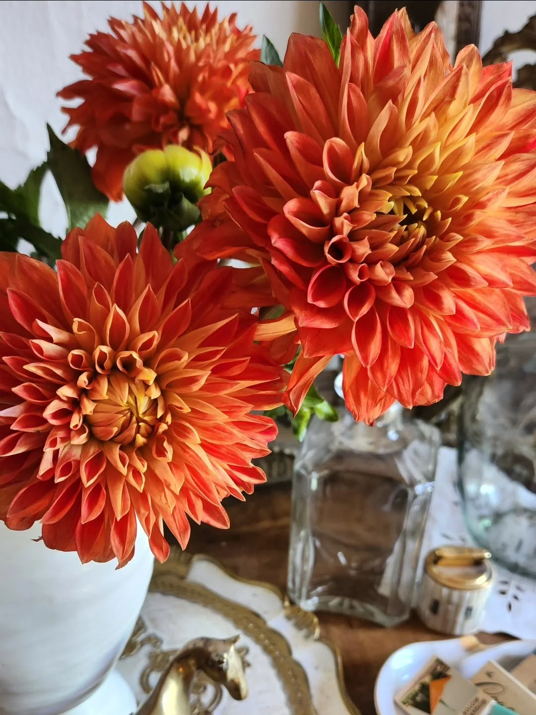 Today is the most beautiful fall day, 70 and breezy in NYC. I'm teetering on the precipice of being sick, but I'm still hoping for a great week ahead. I'm taking lots of Wellness Formula and homeopathic recommendations from @anellosue @sueanellohomeo
