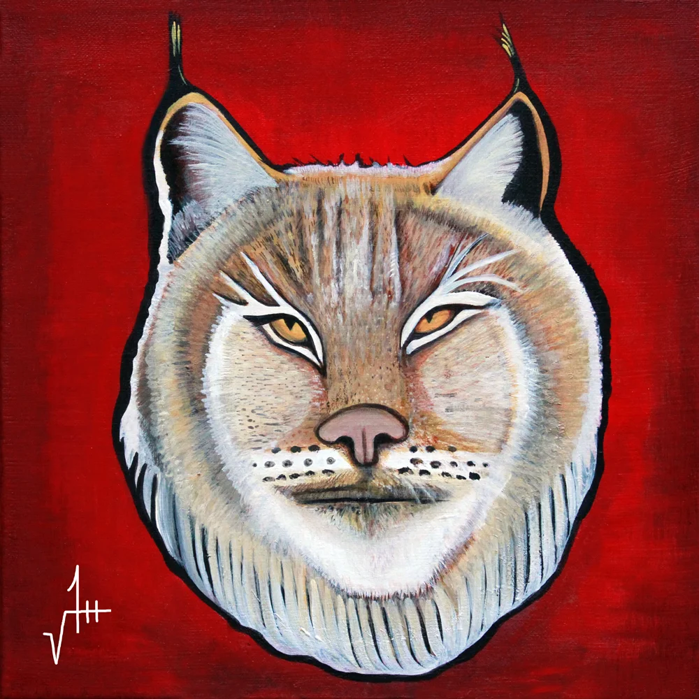 The Bobcat
