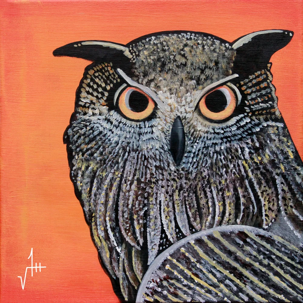 The Owl