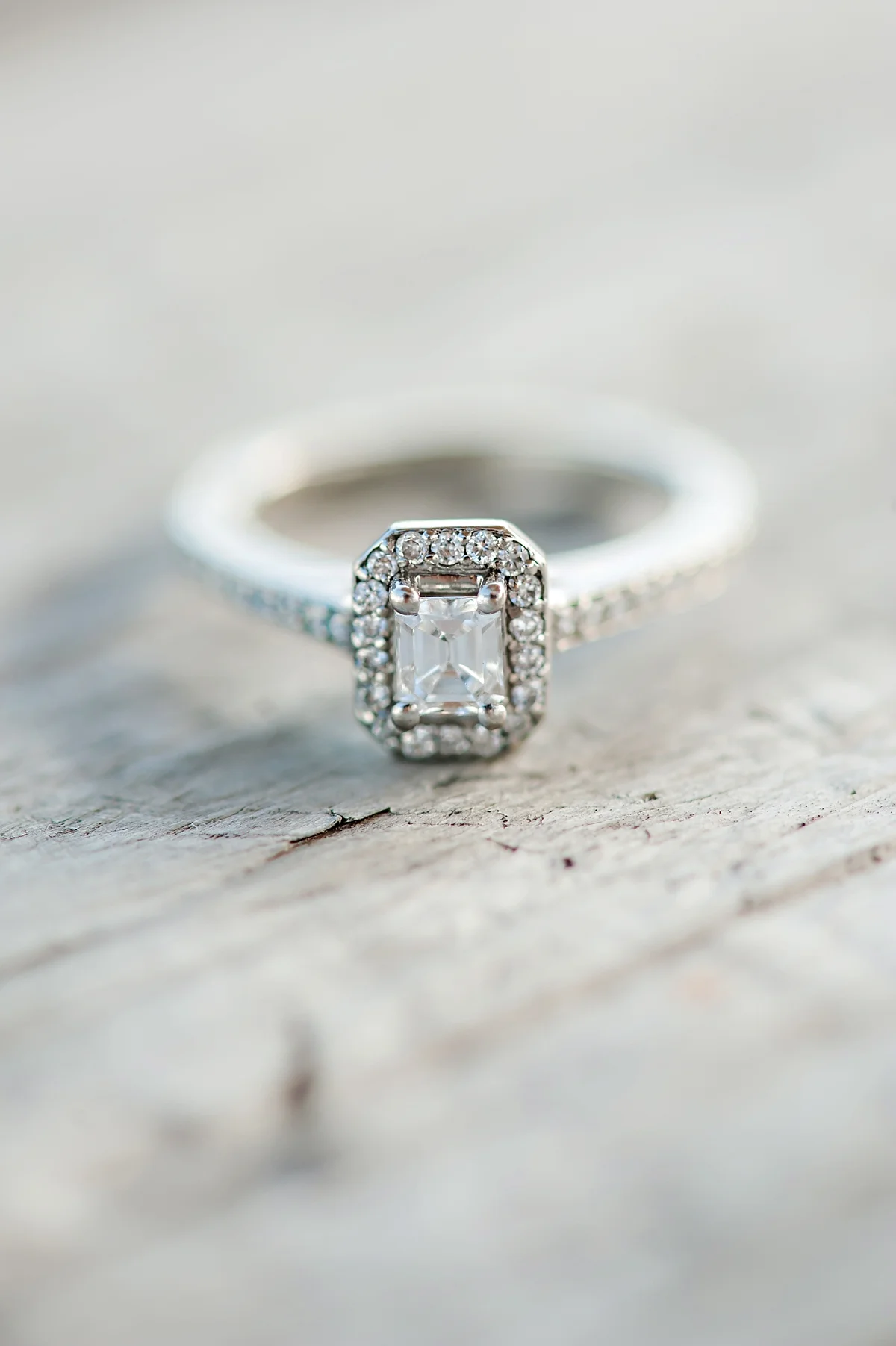 Nova-Scotia-Coastal-Class-Engagement-Shoot-Candace-Berry-Photography25.jpg