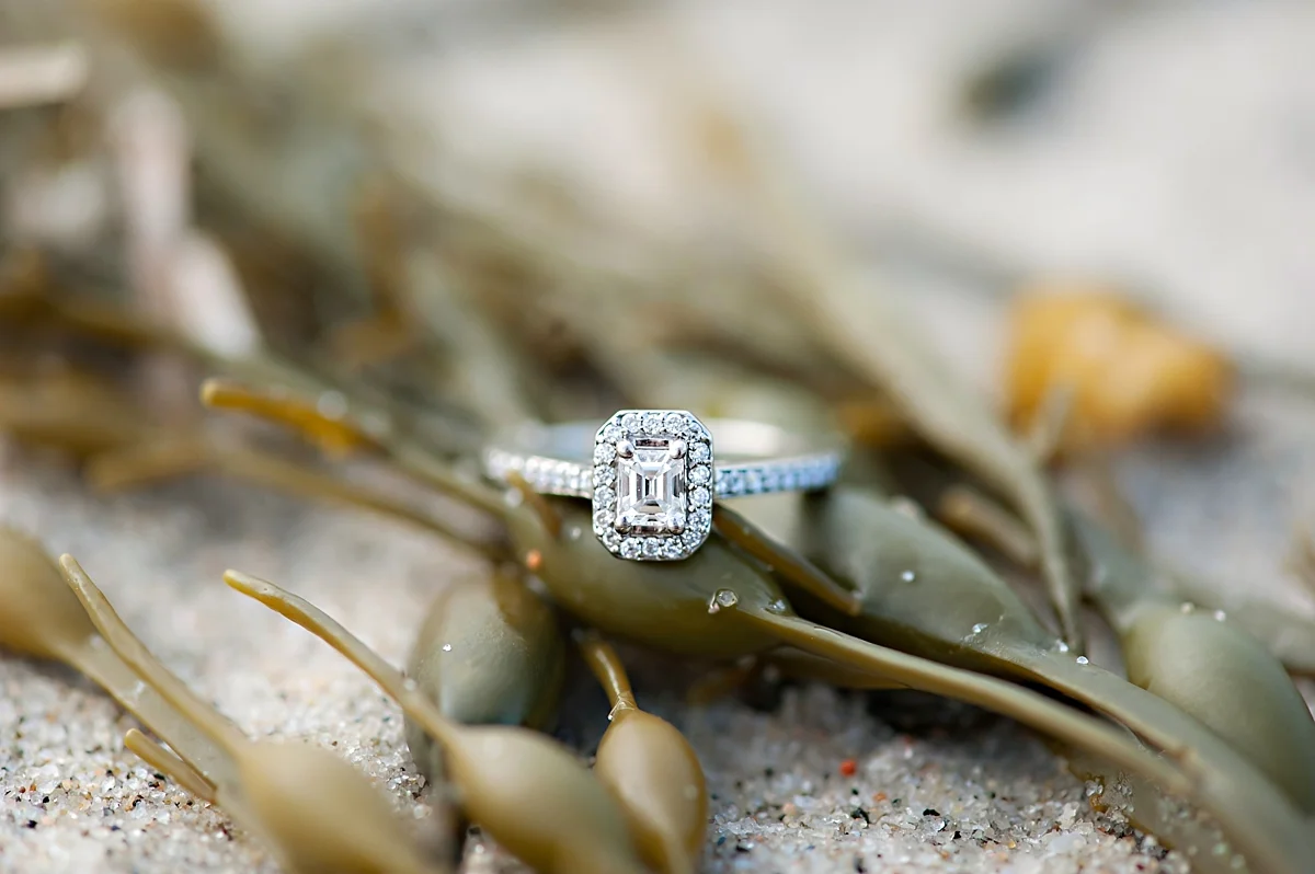 Nova-Scotia-Coastal-Class-Engagement-Shoot-Candace-Berry-Photography28.jpg