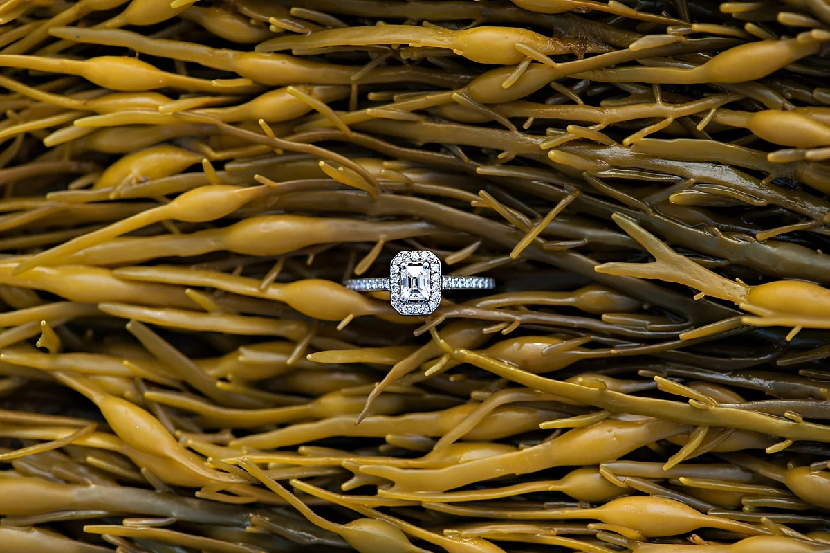 Nova-Scotia-Coastal-Class-Engagement-Shoot-Candace-Berry-Photography43.jpg