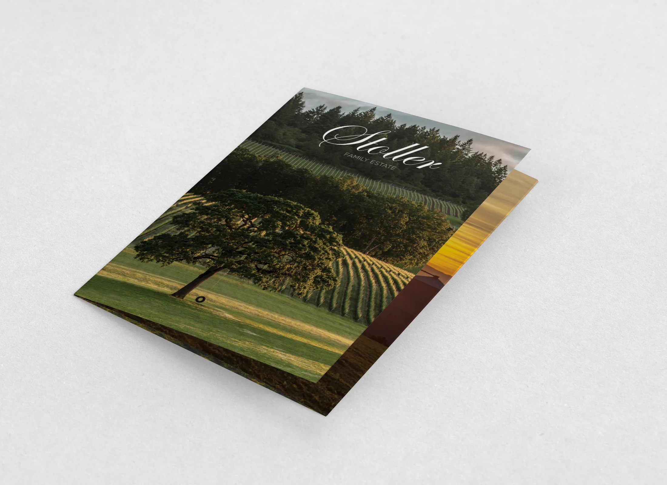 Stoller_Mockup_Leaflet_1.jpg