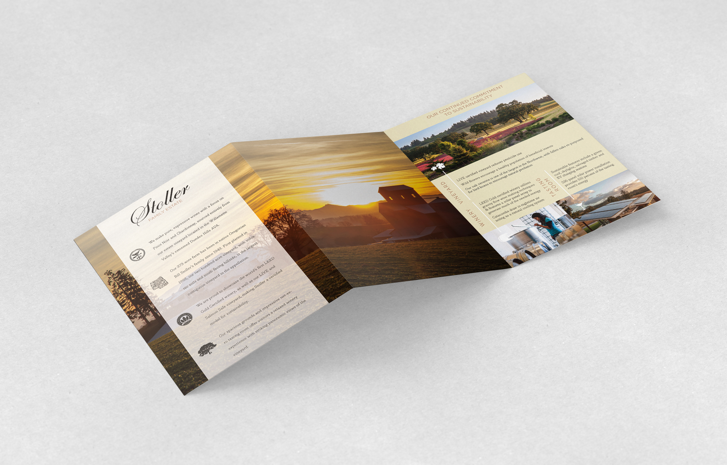 Stoller_trifold_Mockup_Leaflet_2.jpg