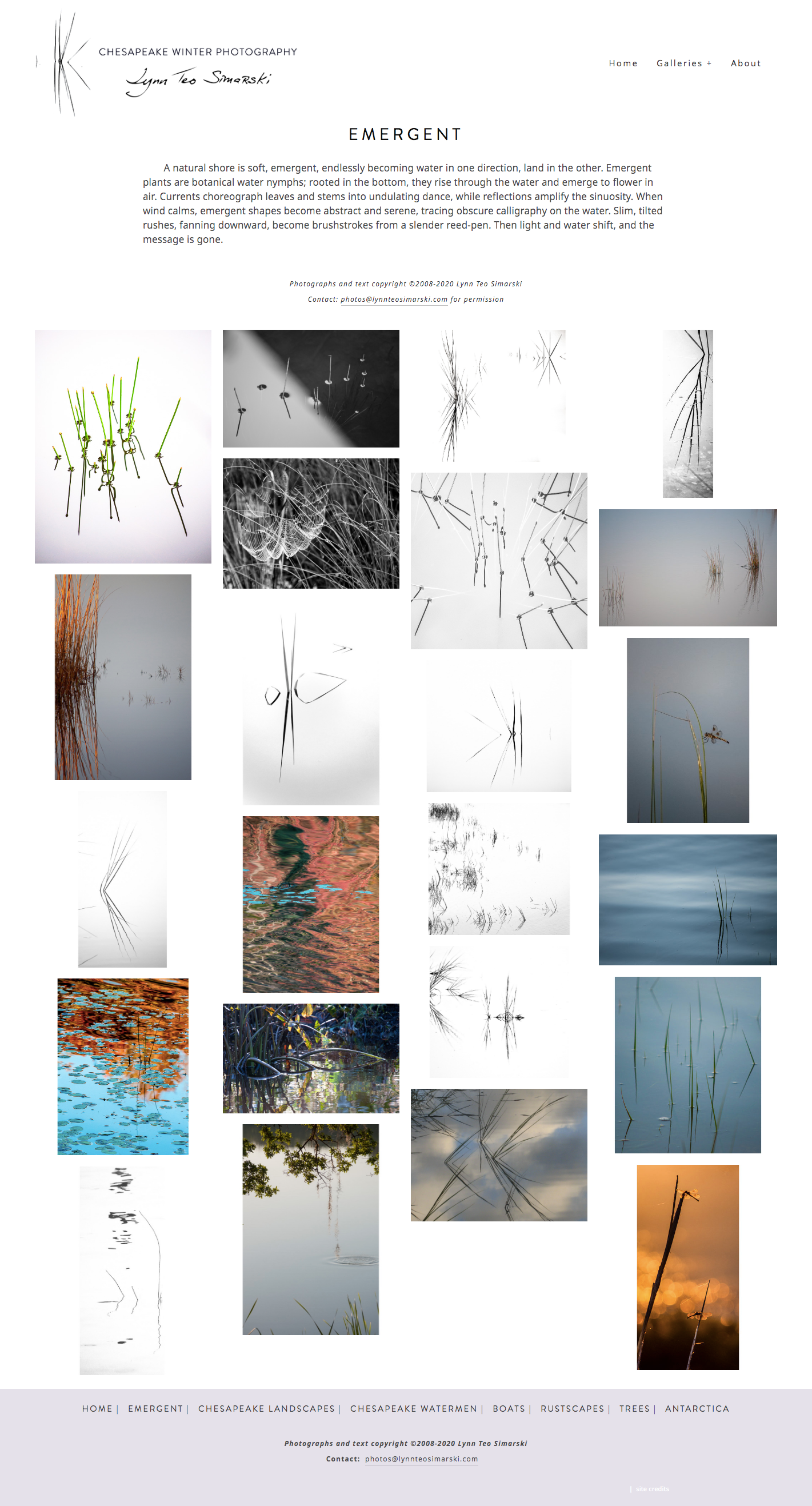 screencapture-lynnteosimarski-emergent-2020-01-05-13_13_56.png