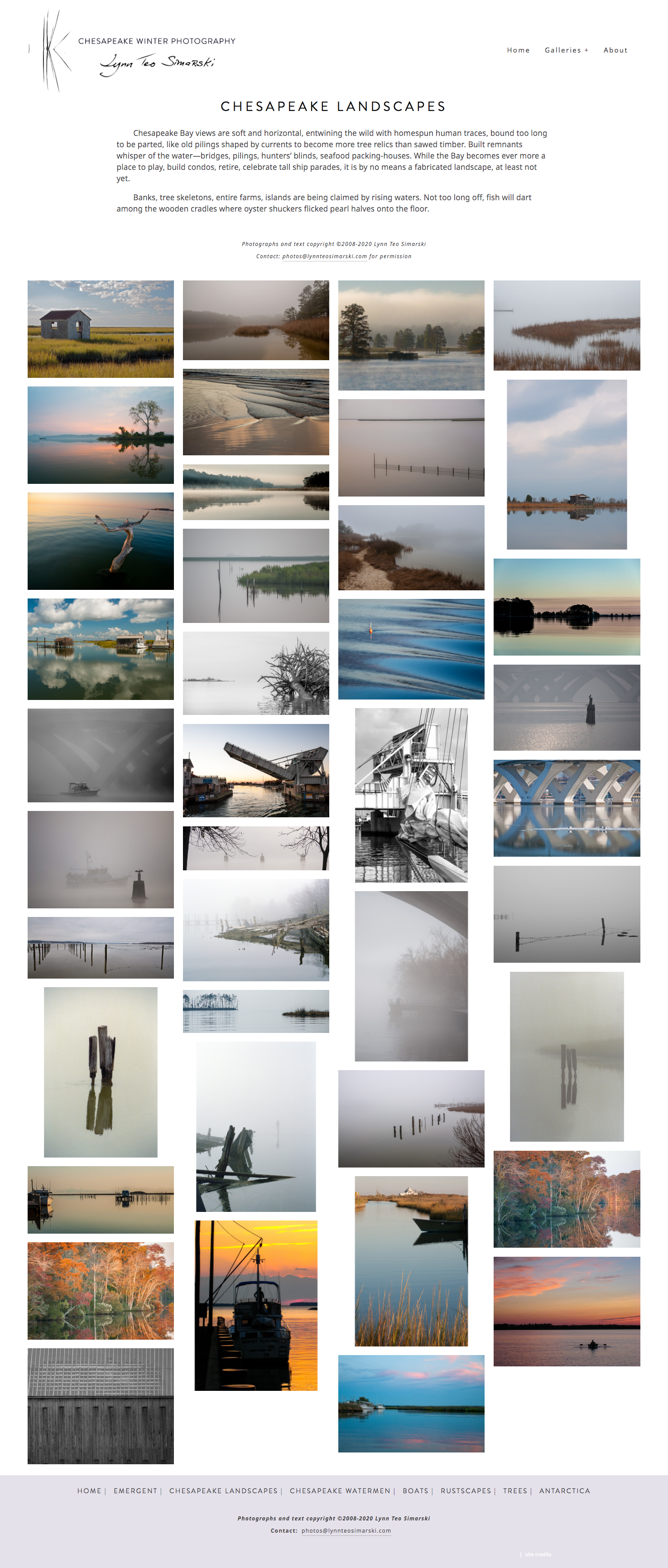 screencapture-lynnteosimarski-chesapeake-landscapes-2020-01-13-20_19_43.png