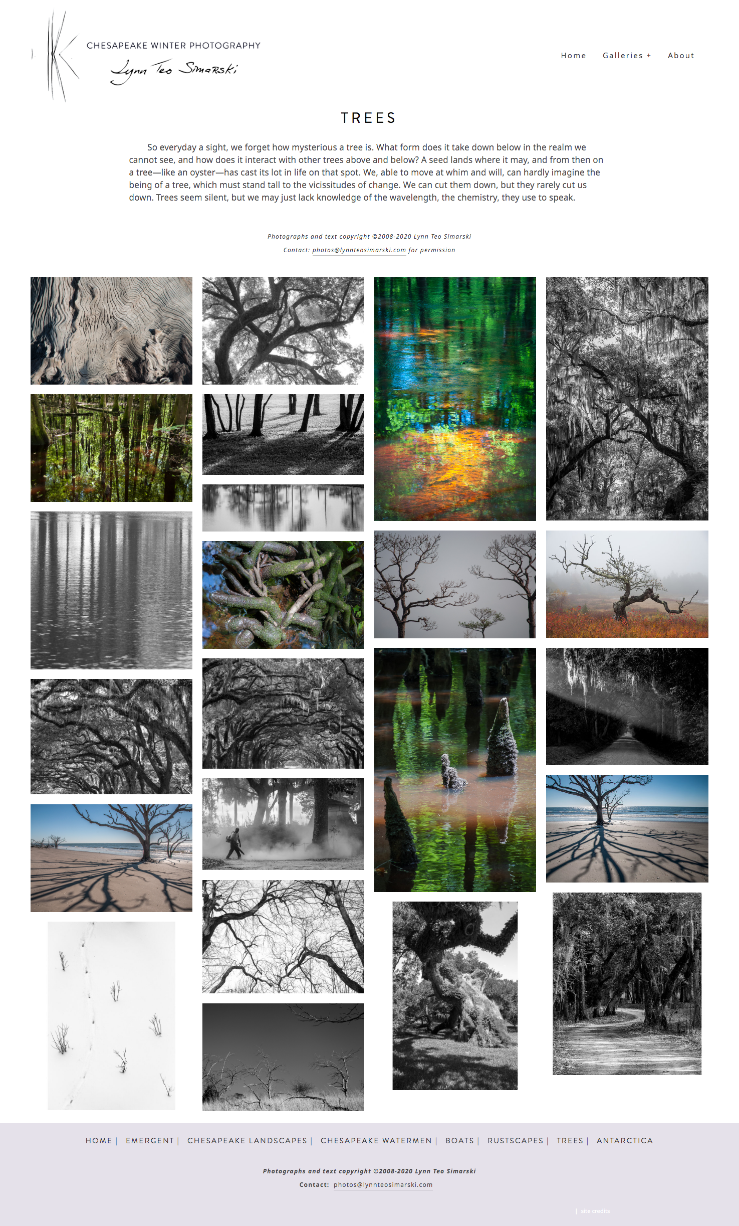 screencapture-lynnteosimarski-trees-2020-01-13-20_22_01.png
