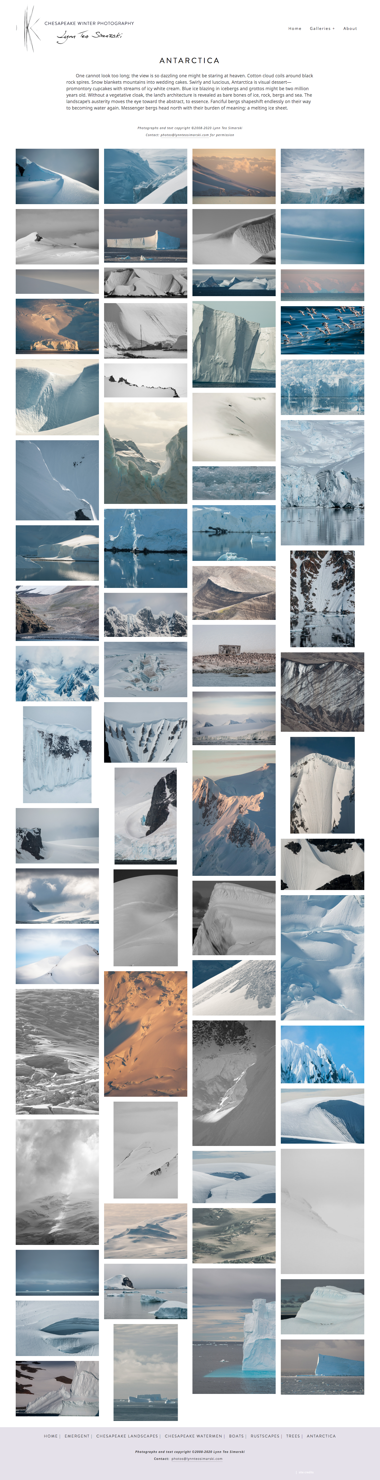 screencapture-lynnteosimarski-antarctica-2020-01-13-20_22_31.png