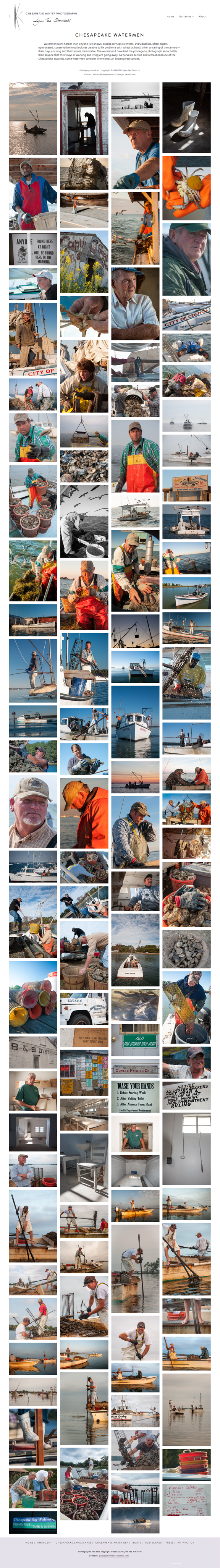 screencapture-lynnteosimarski-chesapeake-watermen-2020-01-13-20_20_09.png