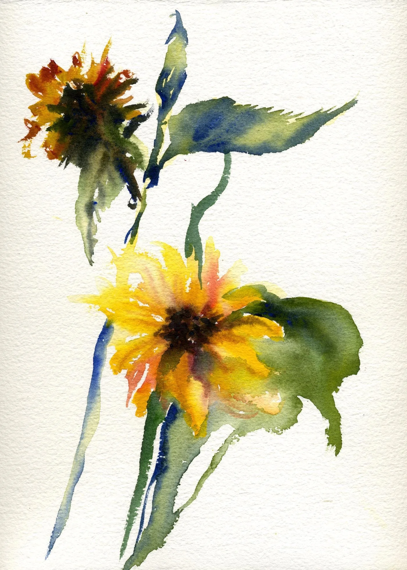 TWO OF LUCIE'S FINEST SUNFLOWERS