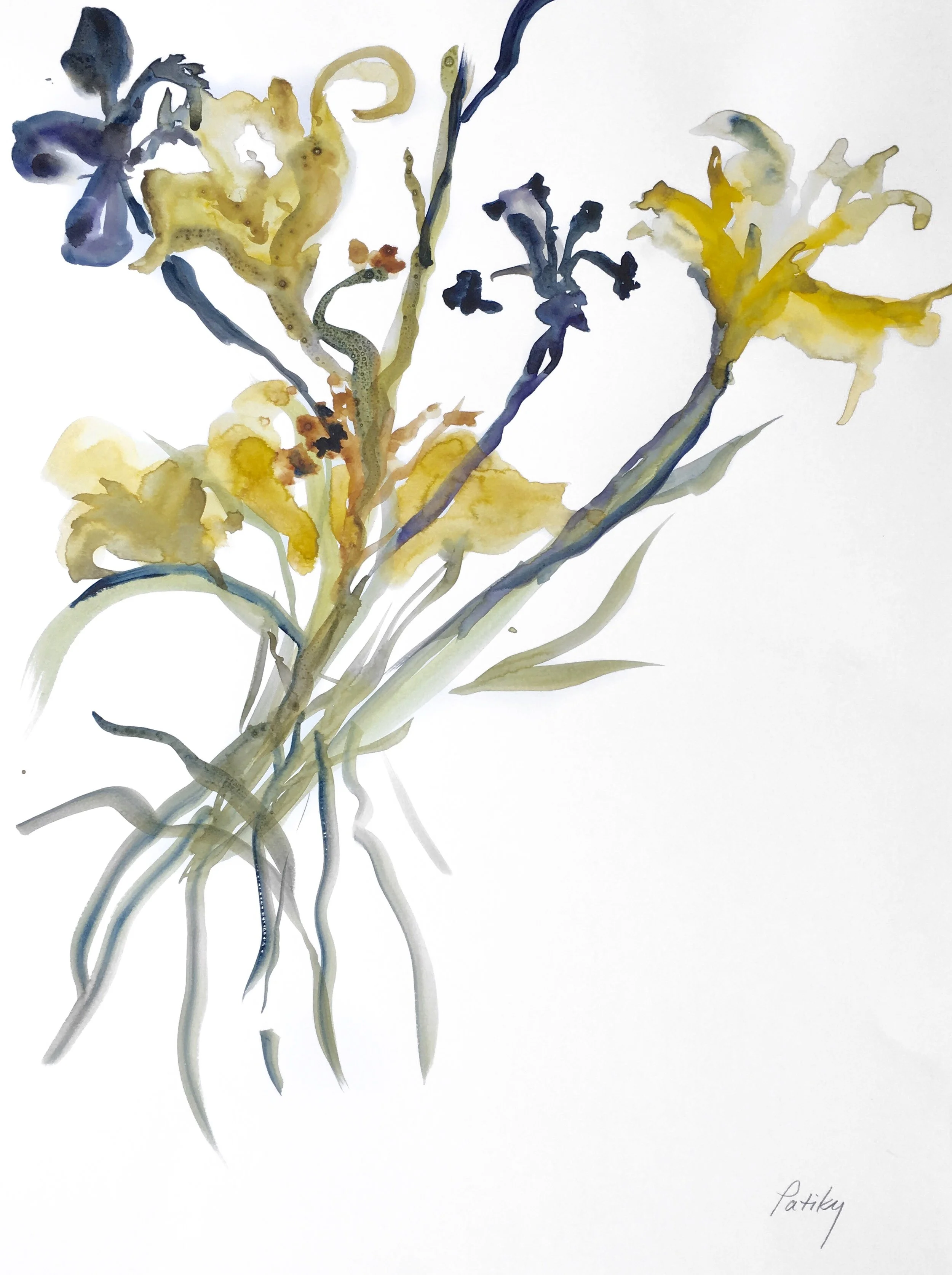 GIANT IRISES