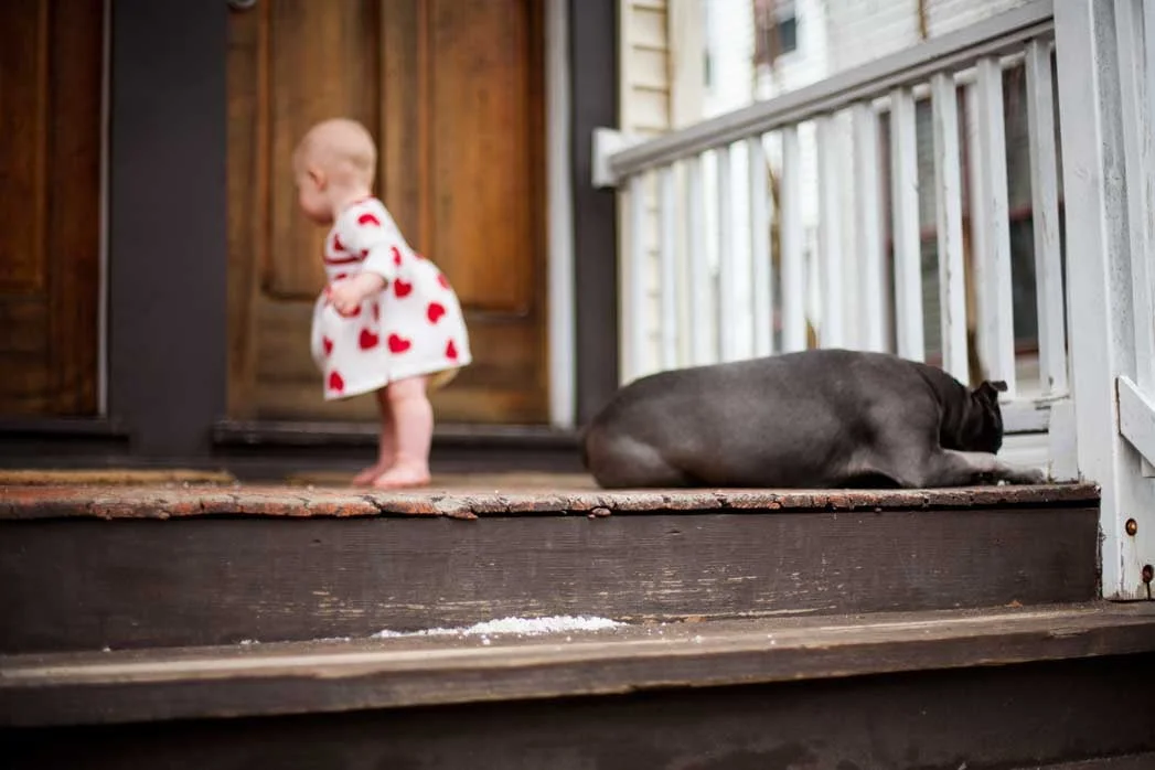 Connecticut-family-photographer46.jpg