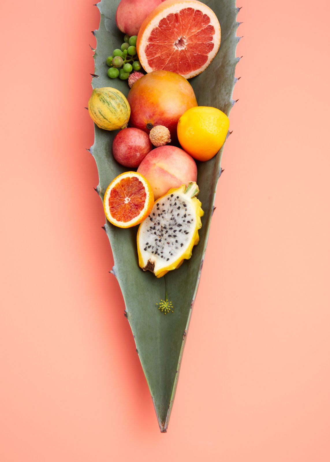 mixed cut citrus, nectarine and dragon fruit still life styled in an agave leaf bowl.jpg