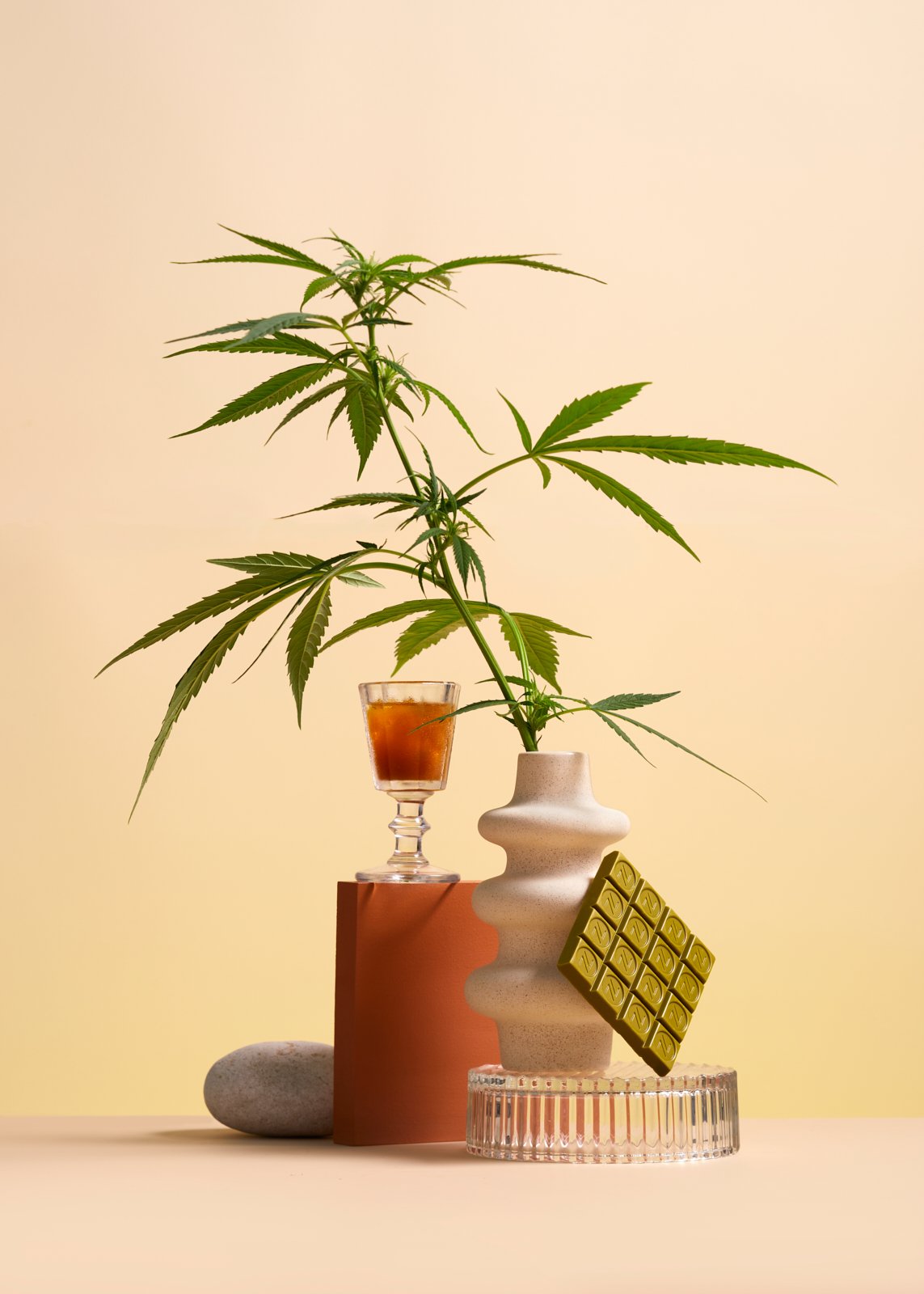 still life composition of CBD, chocolate and wellness tincture.jpg