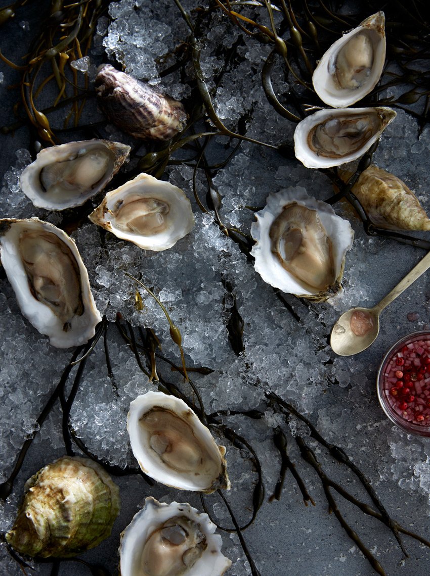 oysters in ice with seaweed and pink peppercorn mignonette, on zinc.jpg