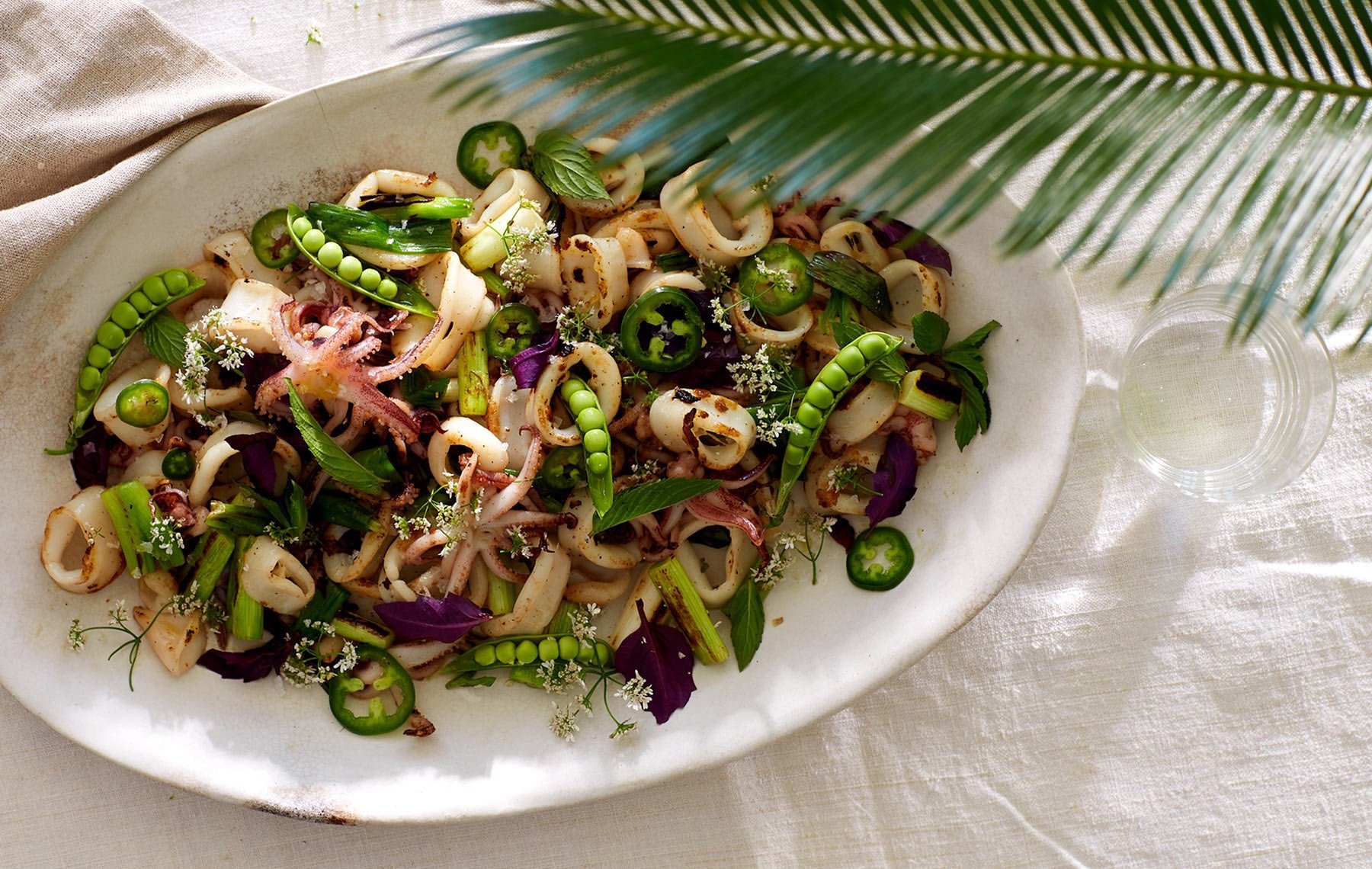spa meal of squid salad with peas on white organic ceramic platter looking through palm leaf.jpg
