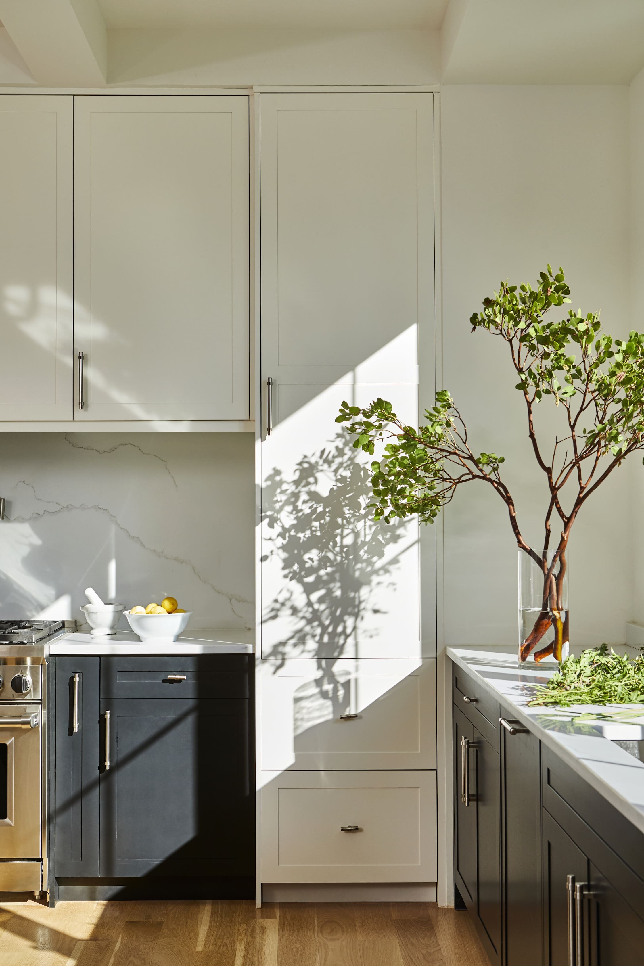 manzanita branches casting shadows in a modern kitchen for biophilic interior design example.jpg