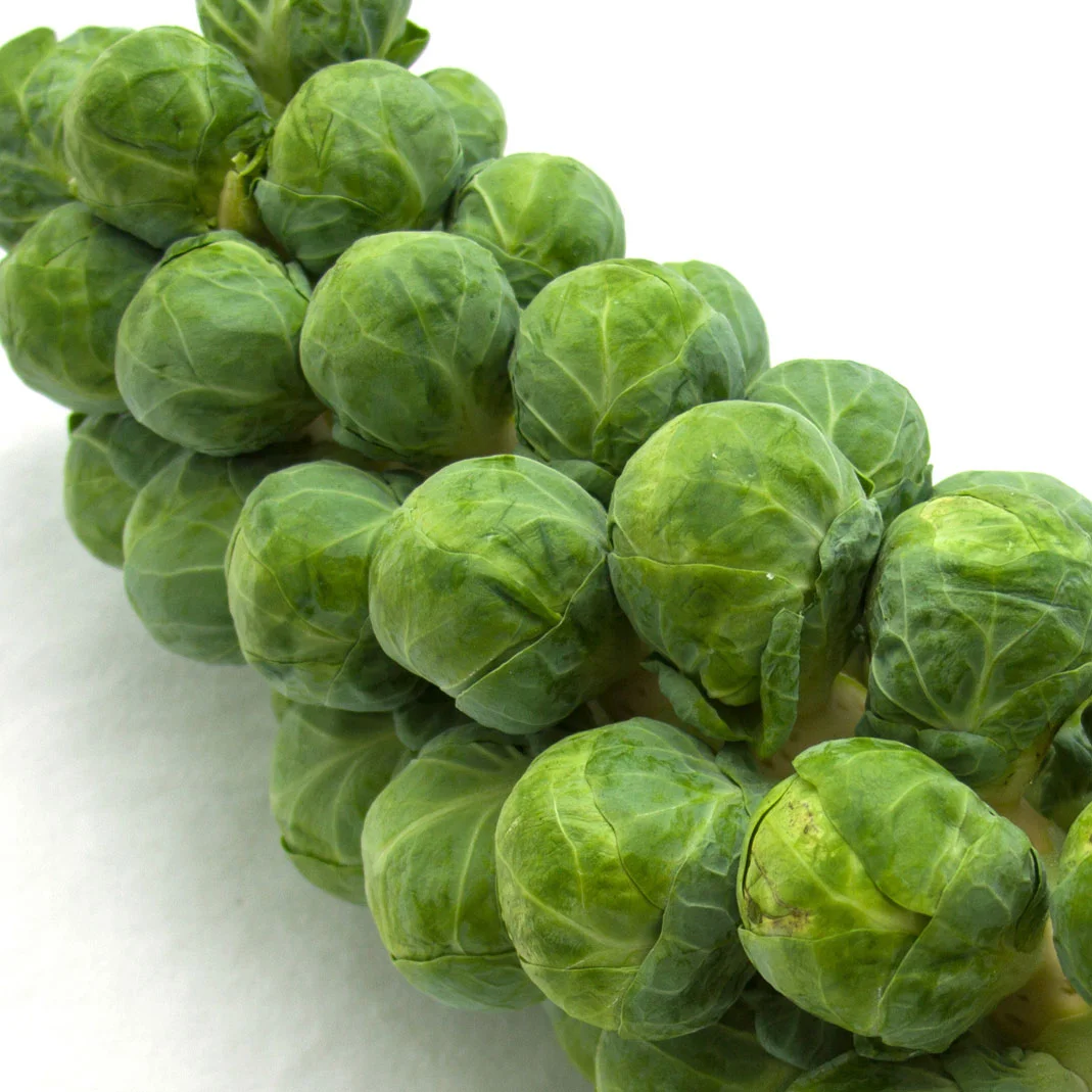 Roasted Brussels Sprouts